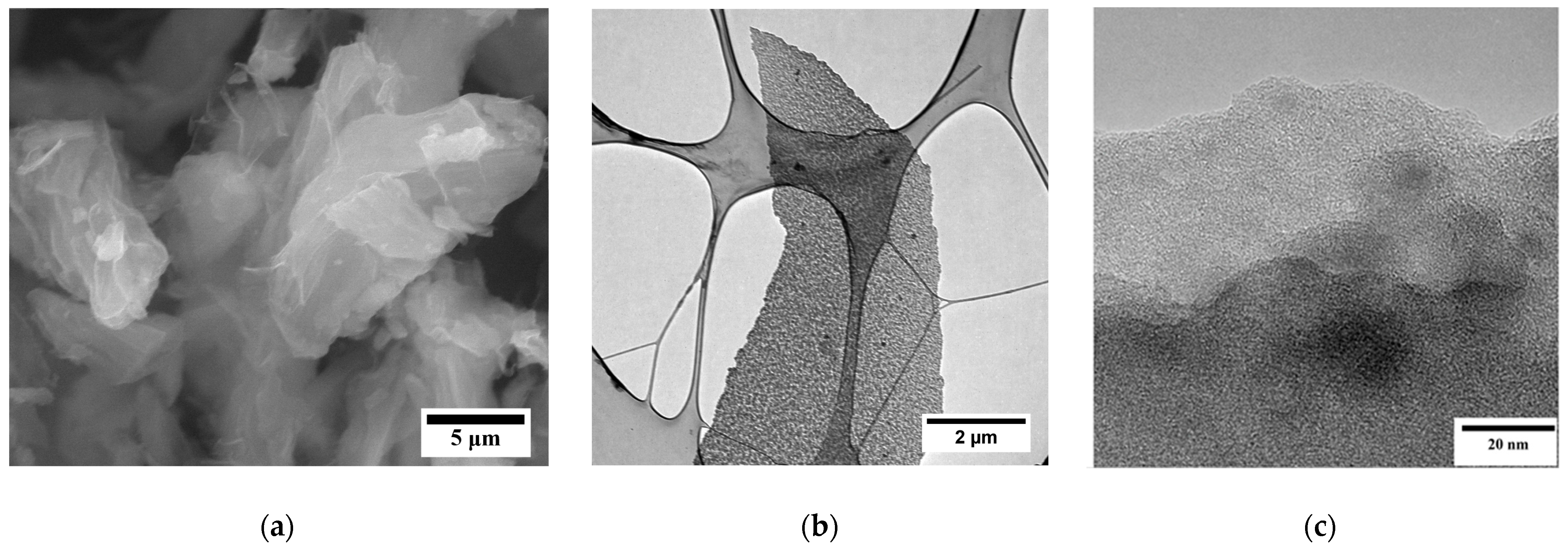 Nanomaterials 13 02368 g001