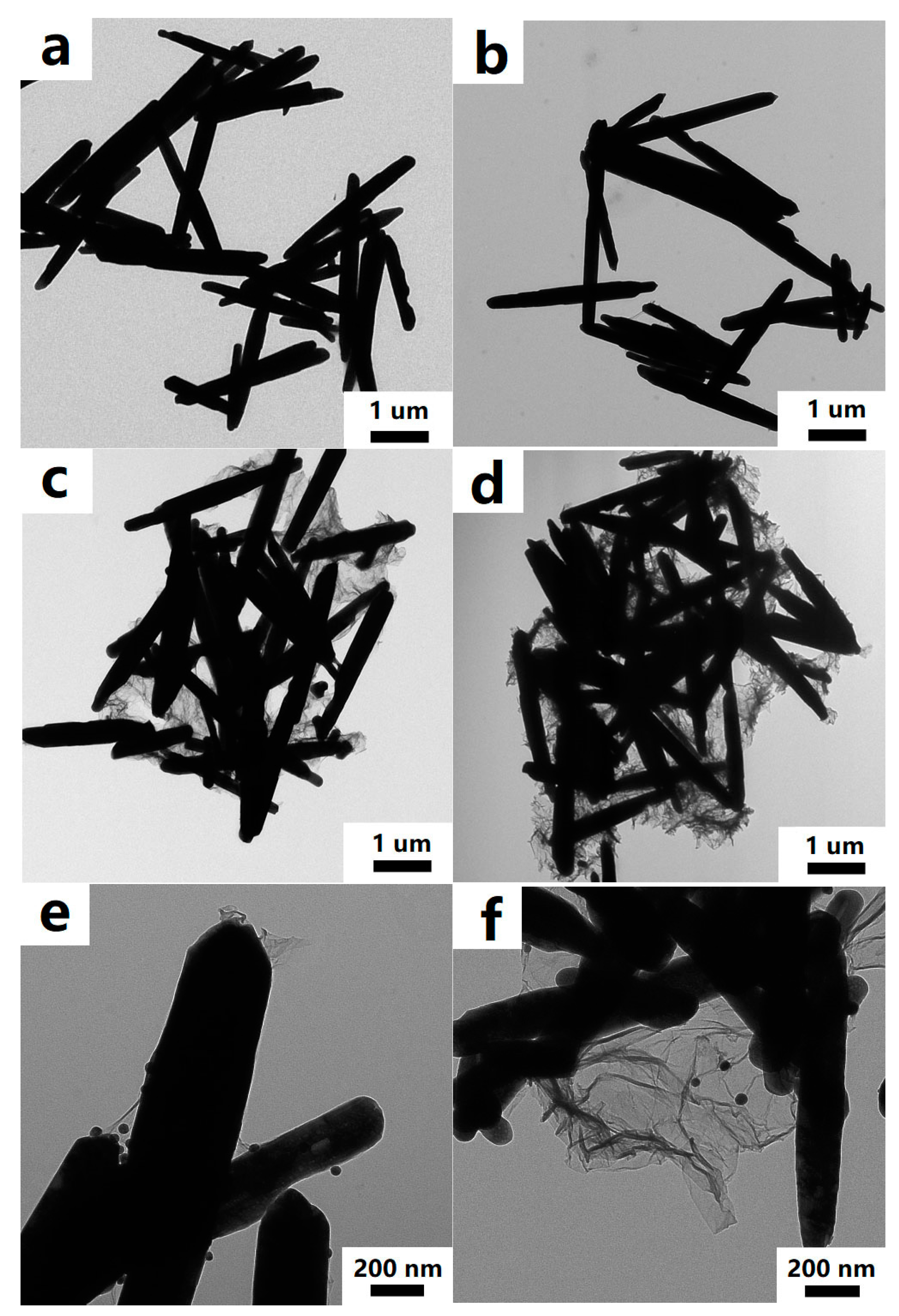 Nanomaterials 13 02370 g003