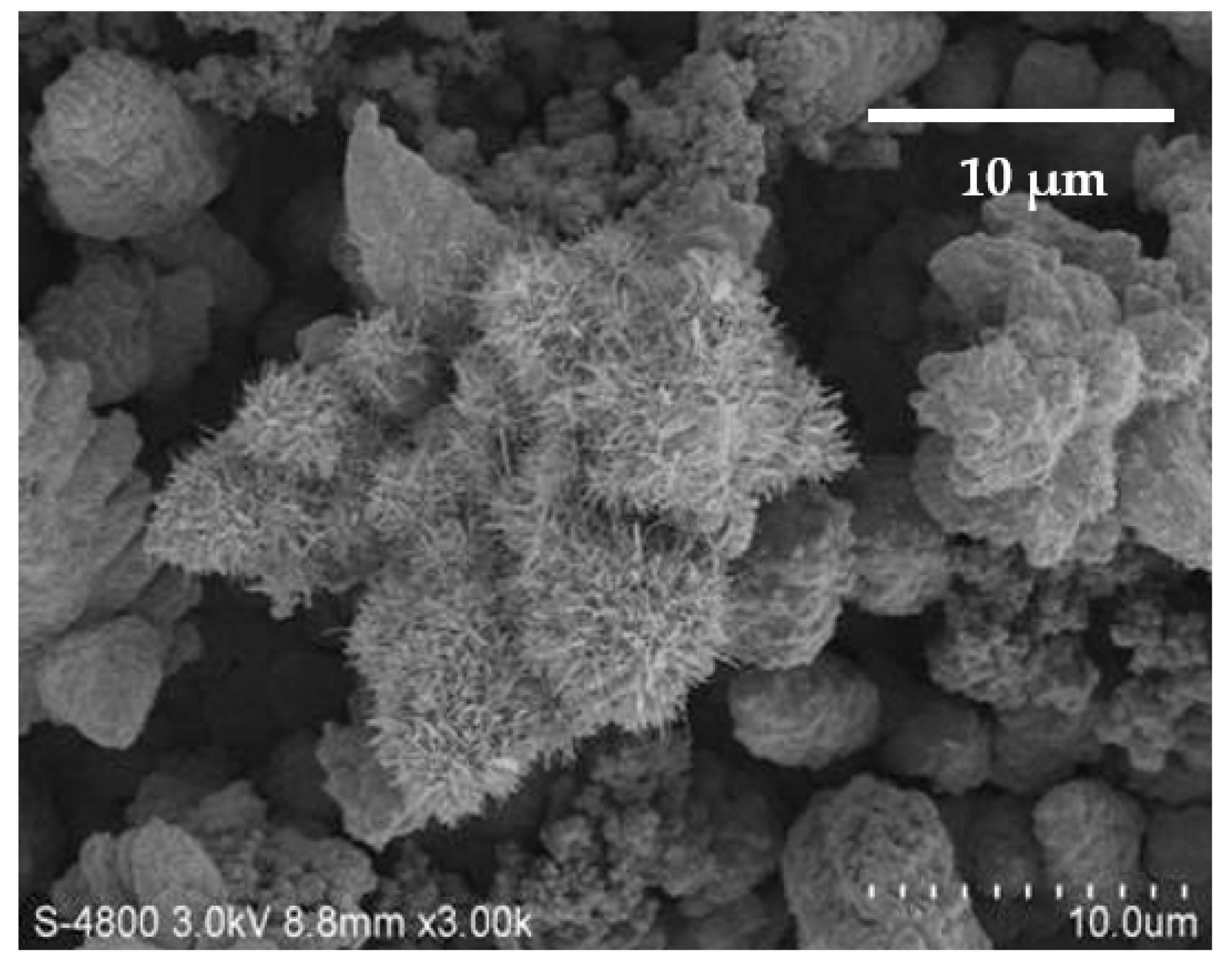 Nanomaterials 13 02371 g005