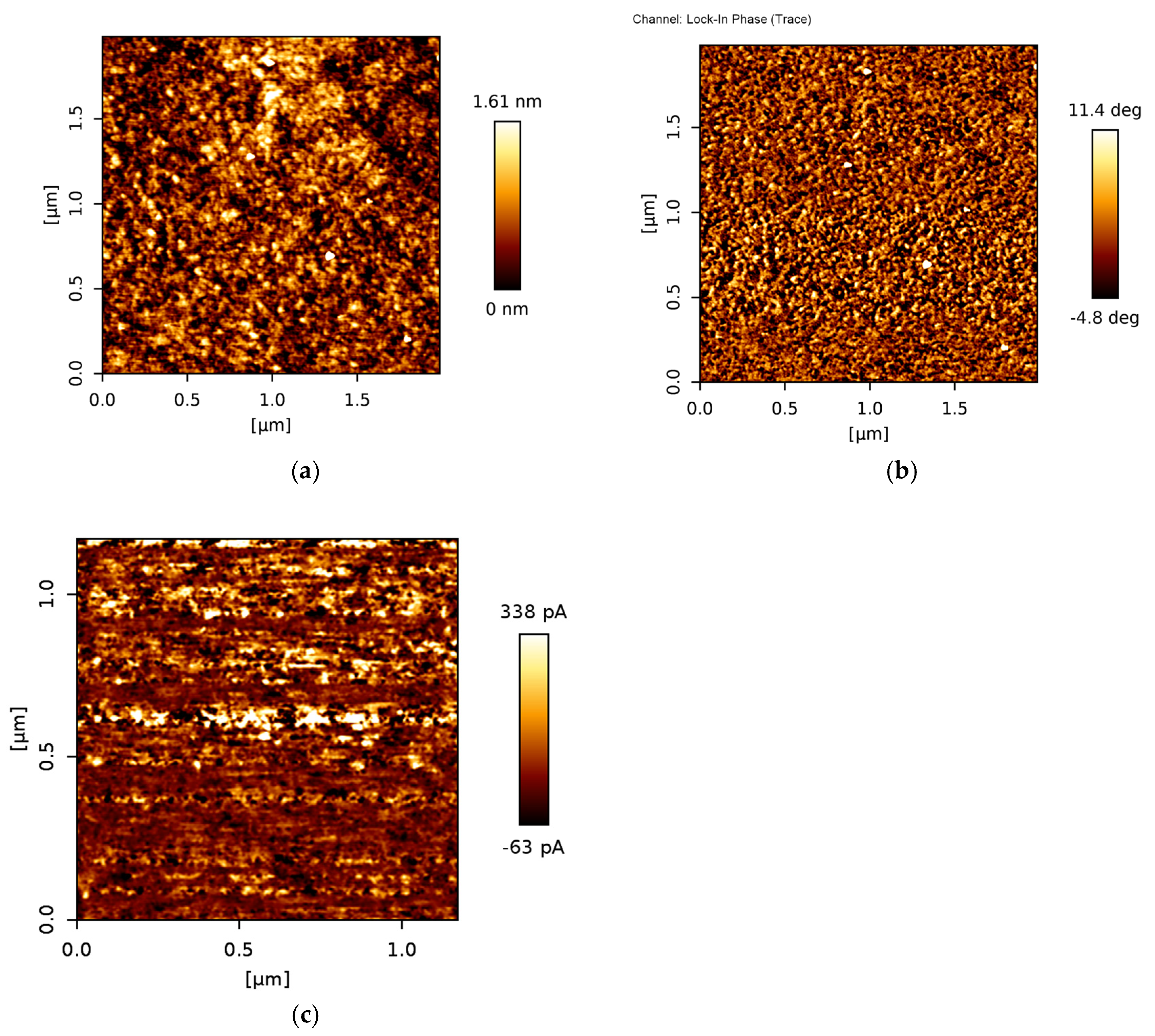 Nanomaterials 13 02373 g004