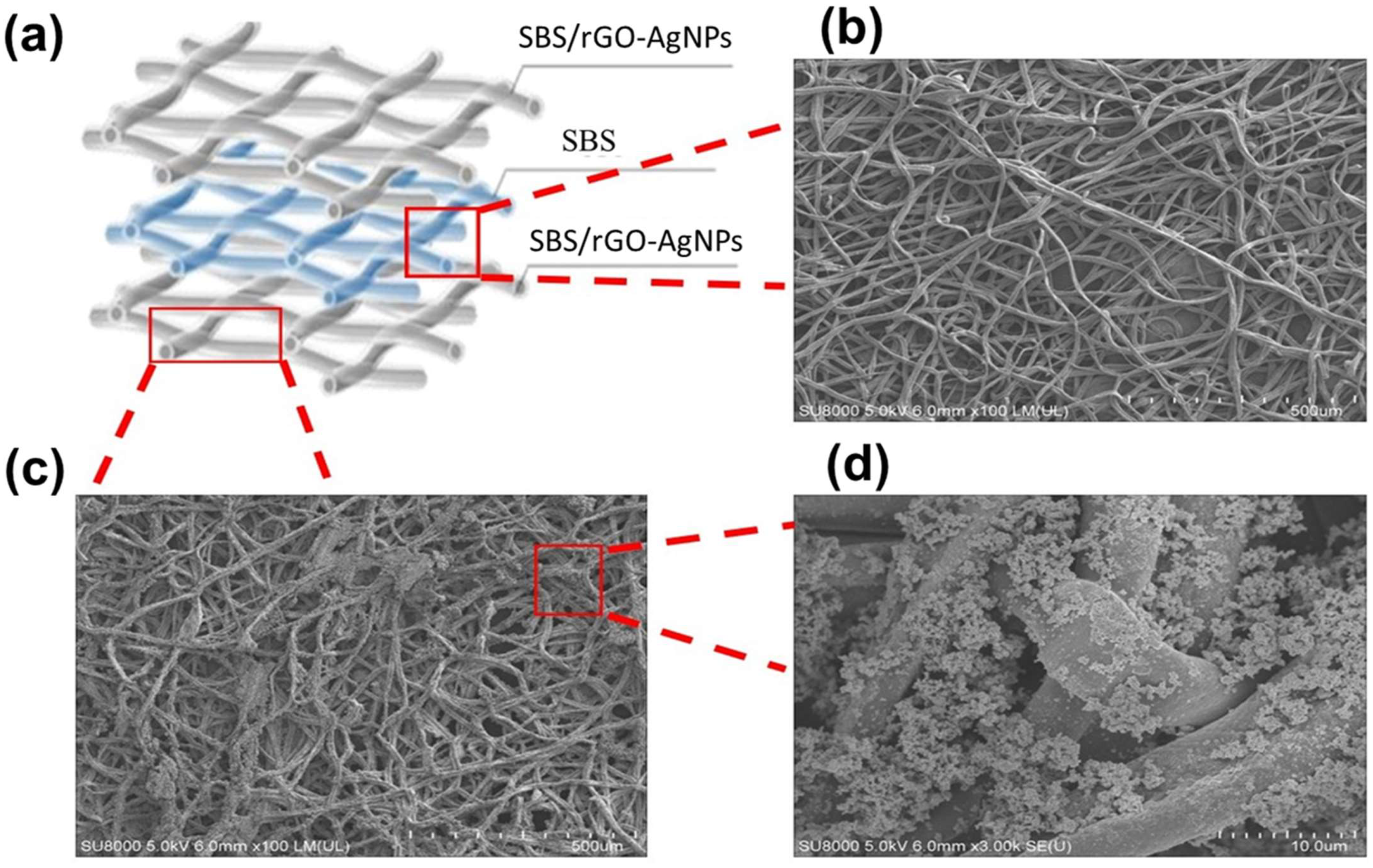 Nanomaterials 13 02375 g002
