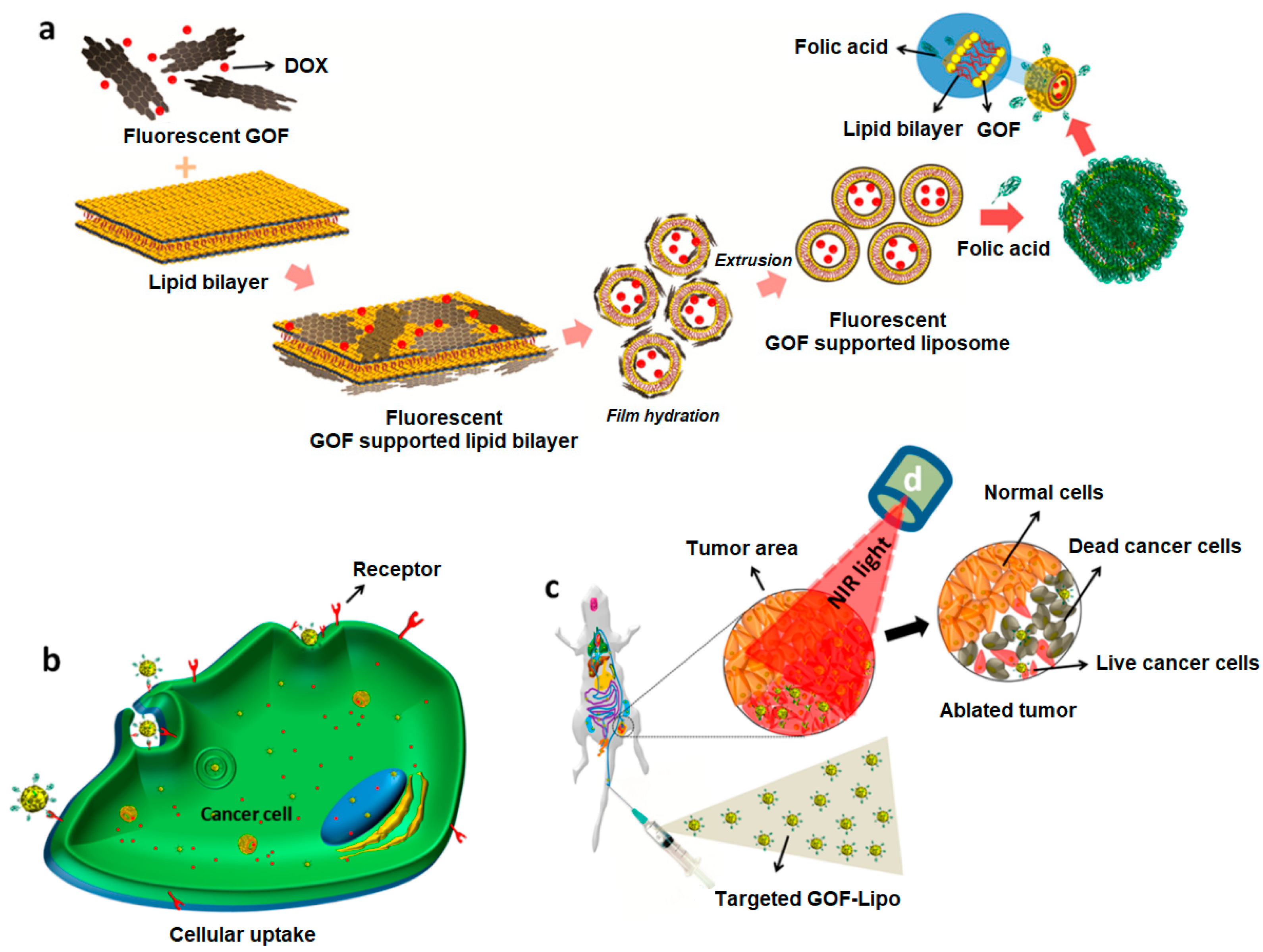 Nanomaterials 13 02380 g003