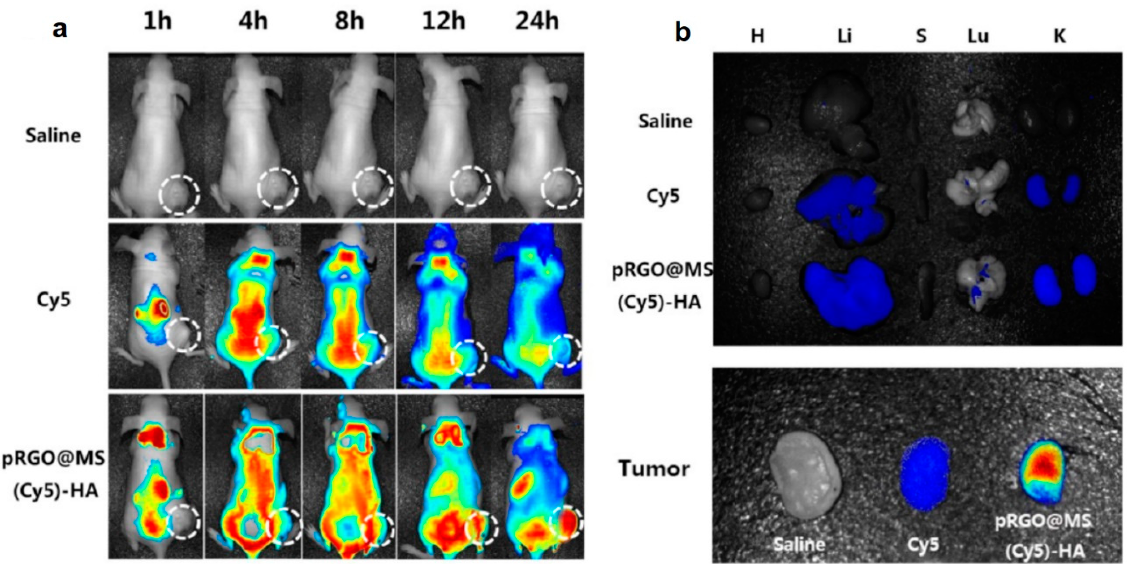 Nanomaterials 13 02380 g004