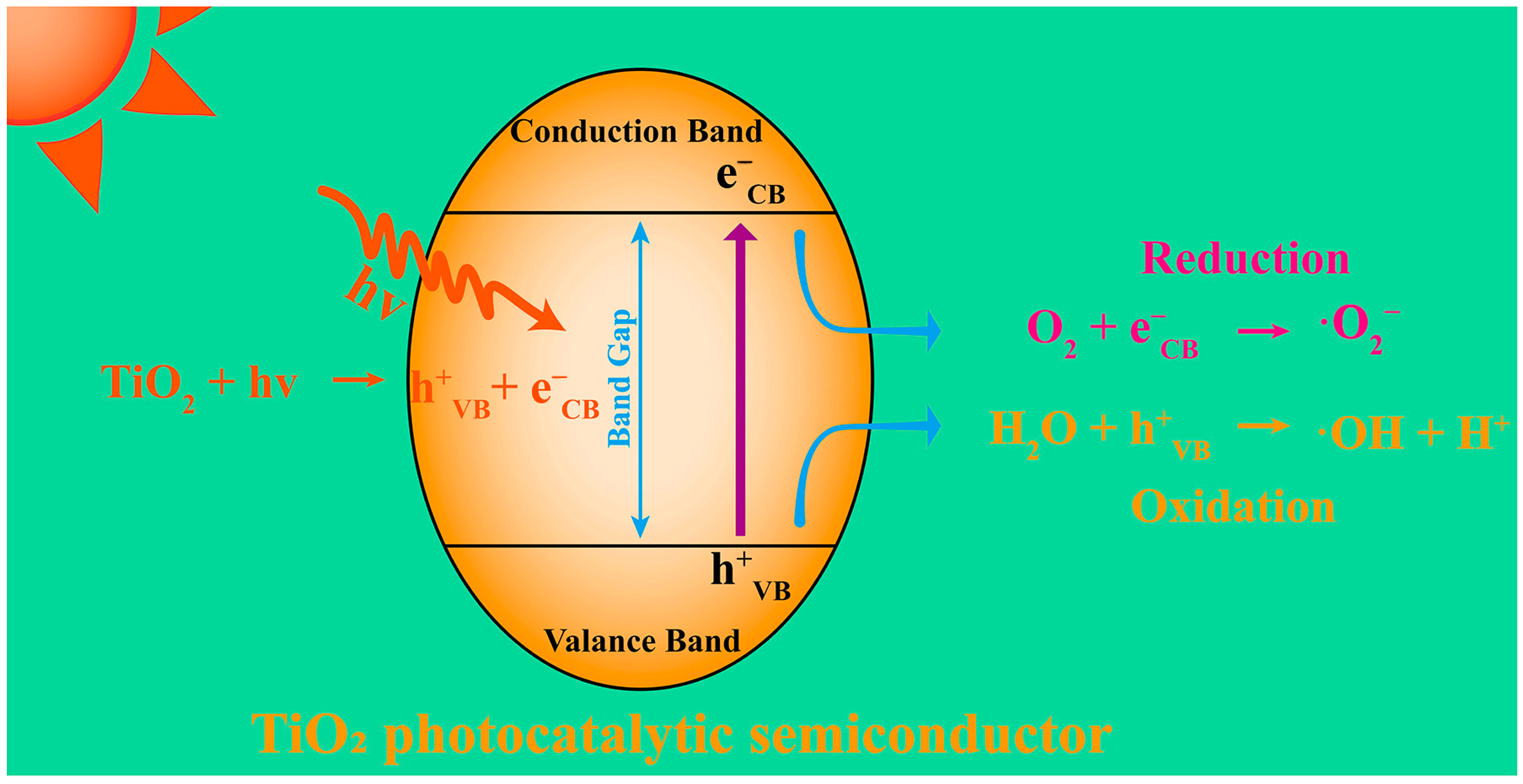 Nanomaterials 13 02384 g002
