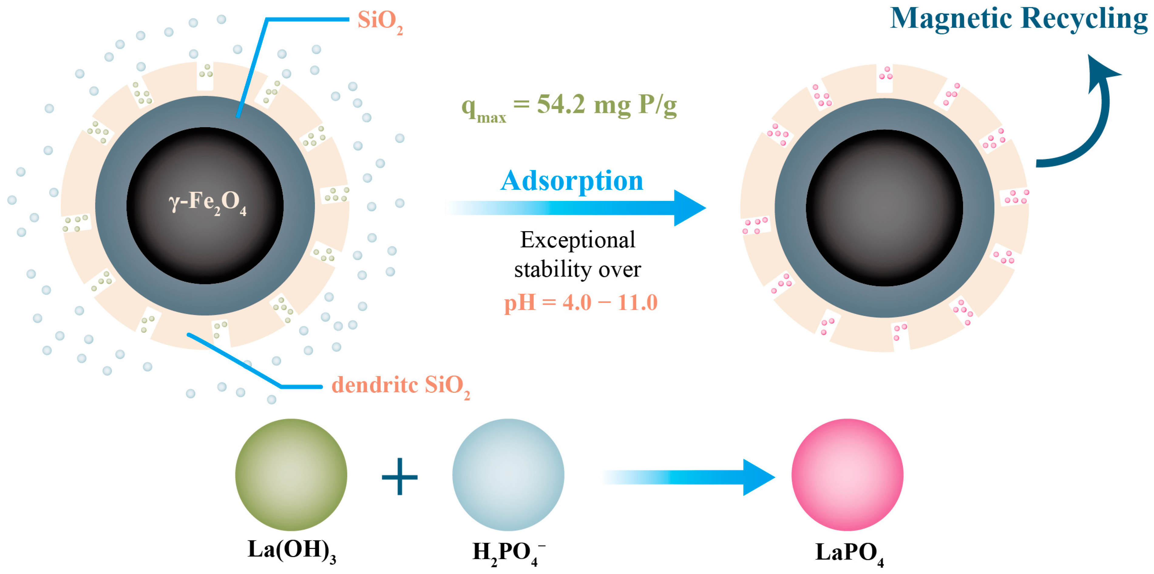 Nanomaterials 13 02384 g003