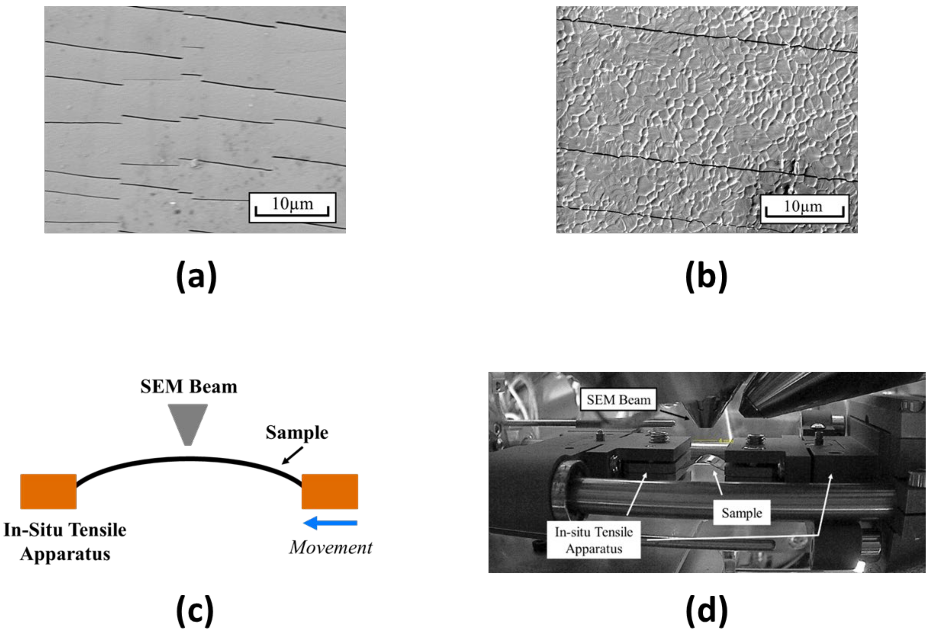 Nanomaterials 13 02388 g001