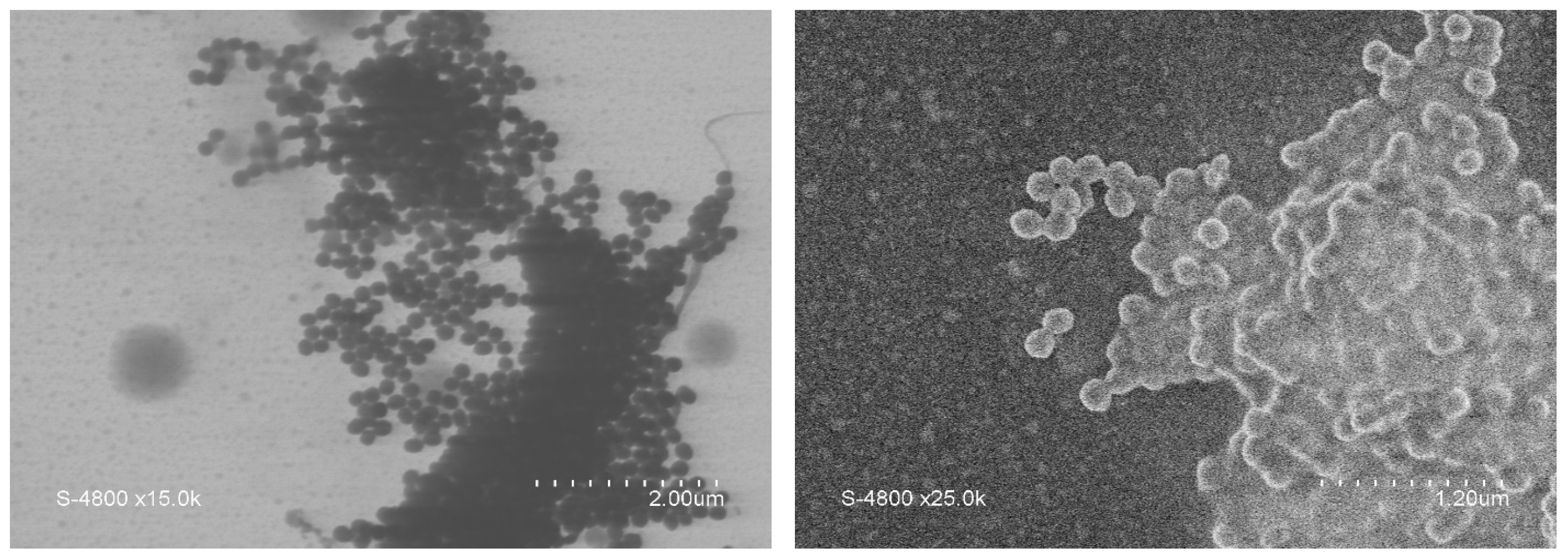 Nanomaterials 13 02389 g001