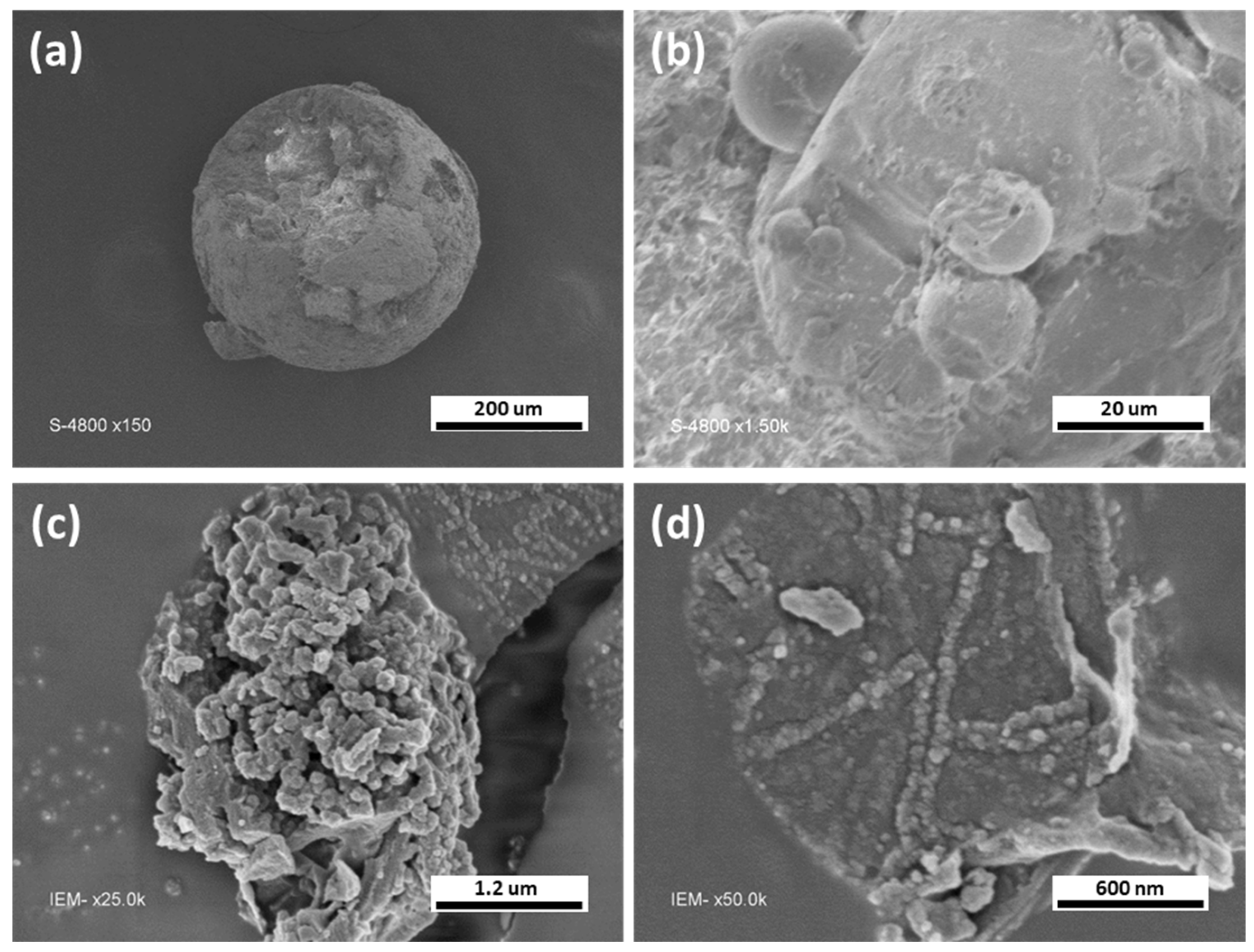 Nanomaterials 13 02389 g003