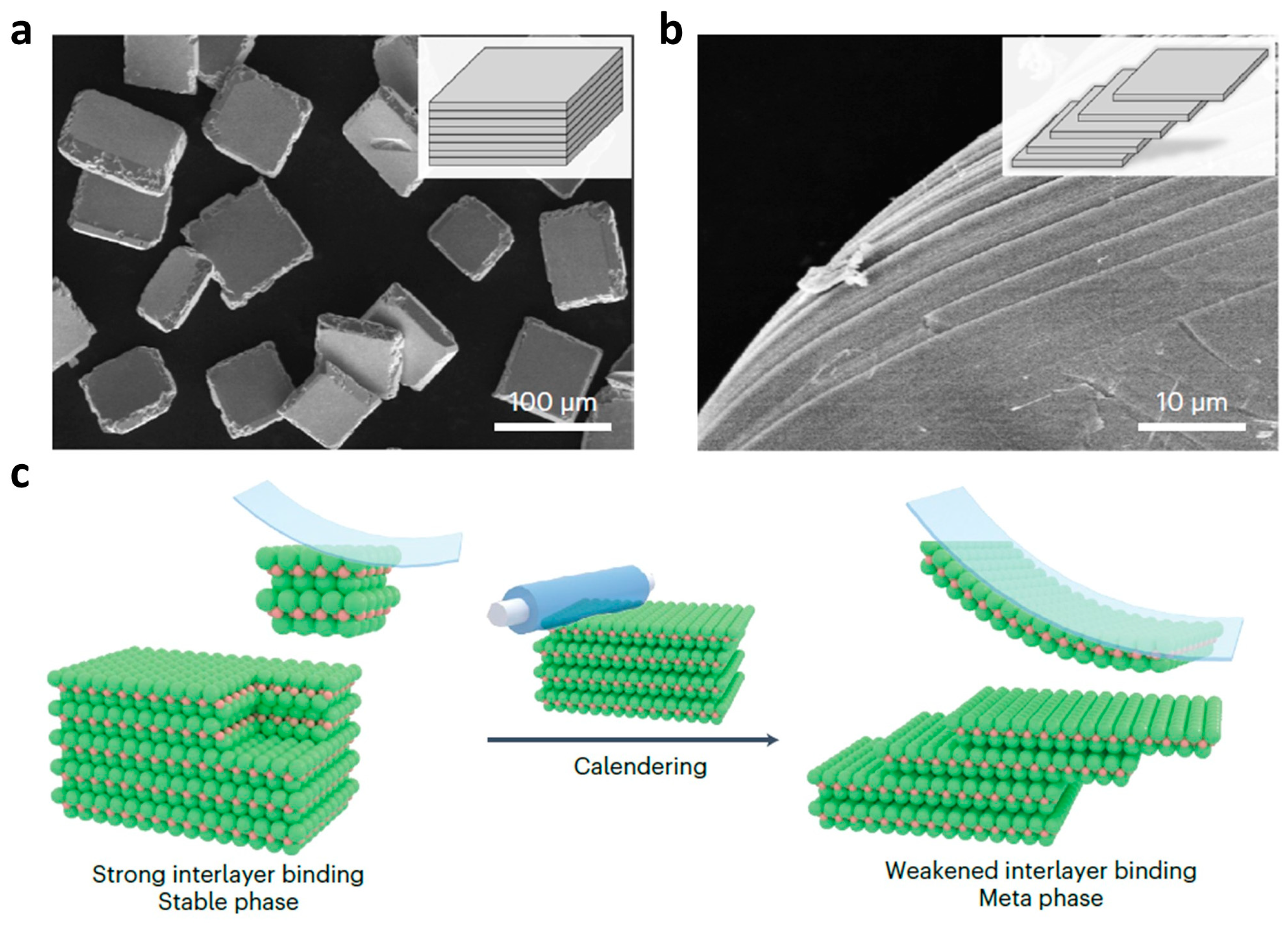 Nanomaterials 13 02391 g002 Nanomaterials 13 02391 g002