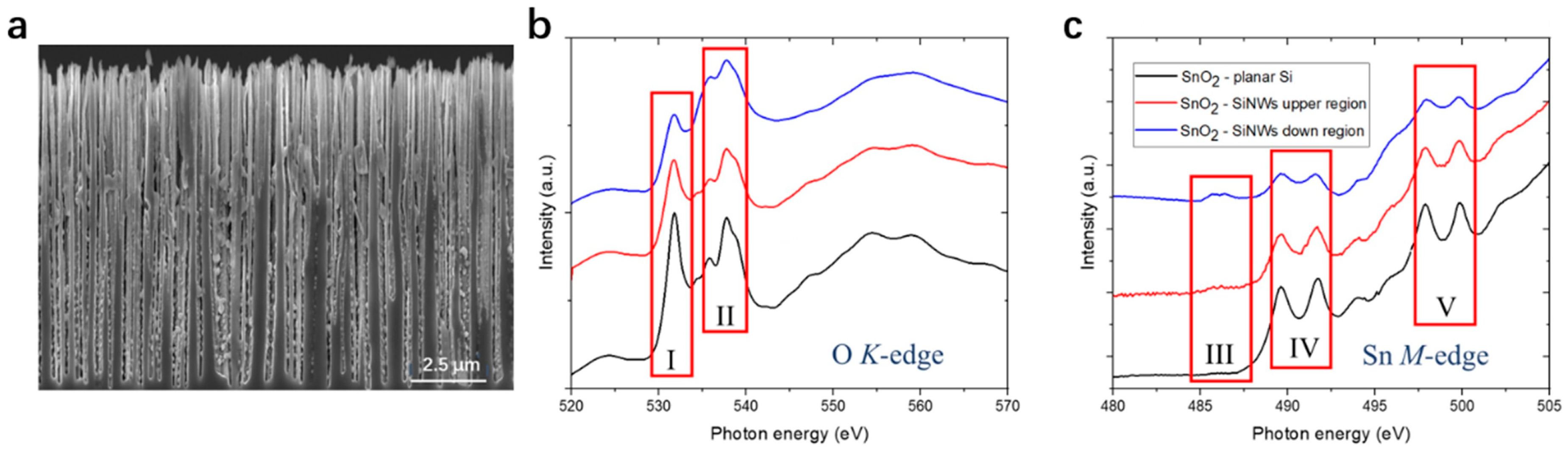 Nanomaterials 13 02391 g012 Nanomaterials 13 02391 g012