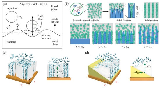 Nanomaterials 13 02399 g015