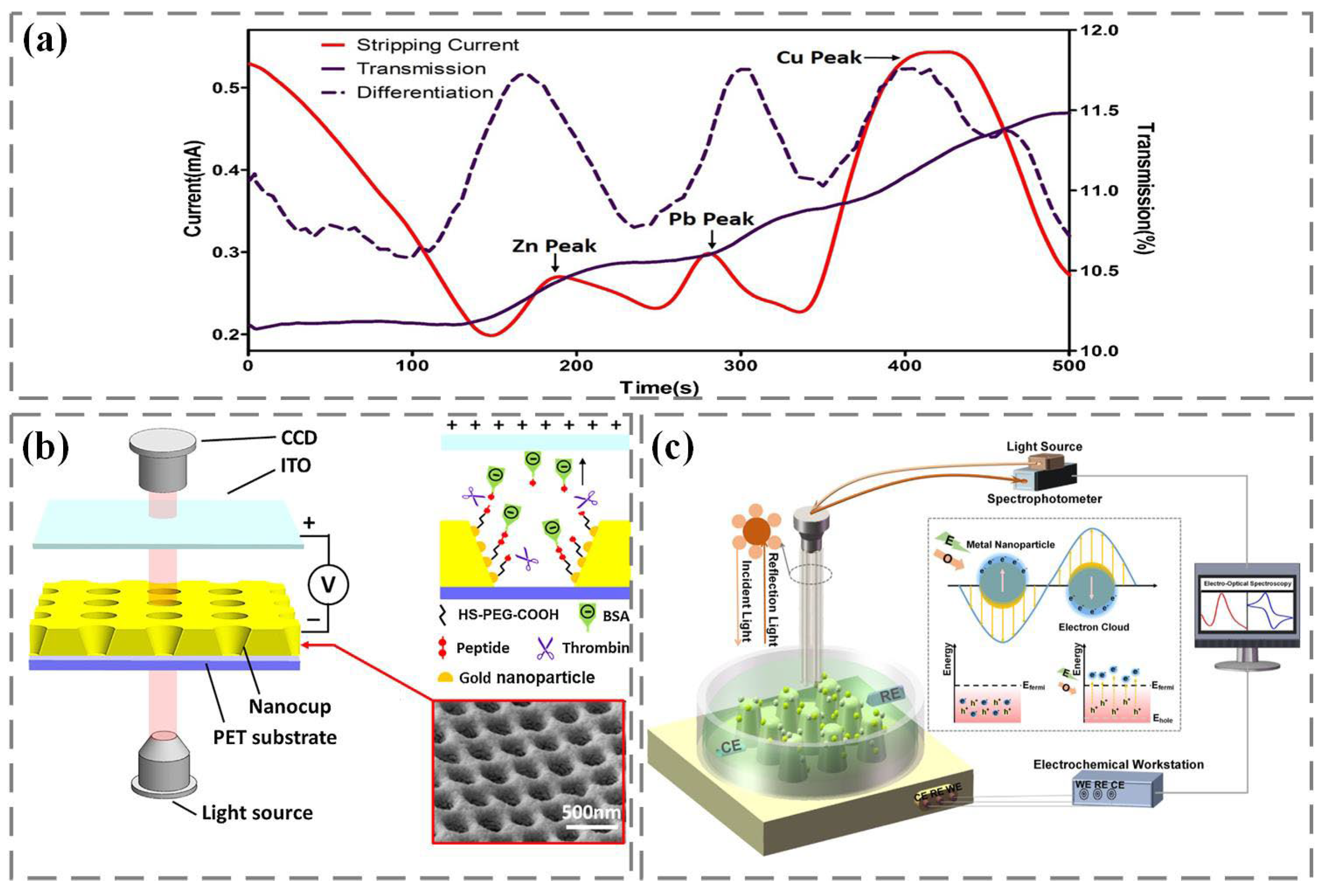 Nanomaterials 13 02400 g003