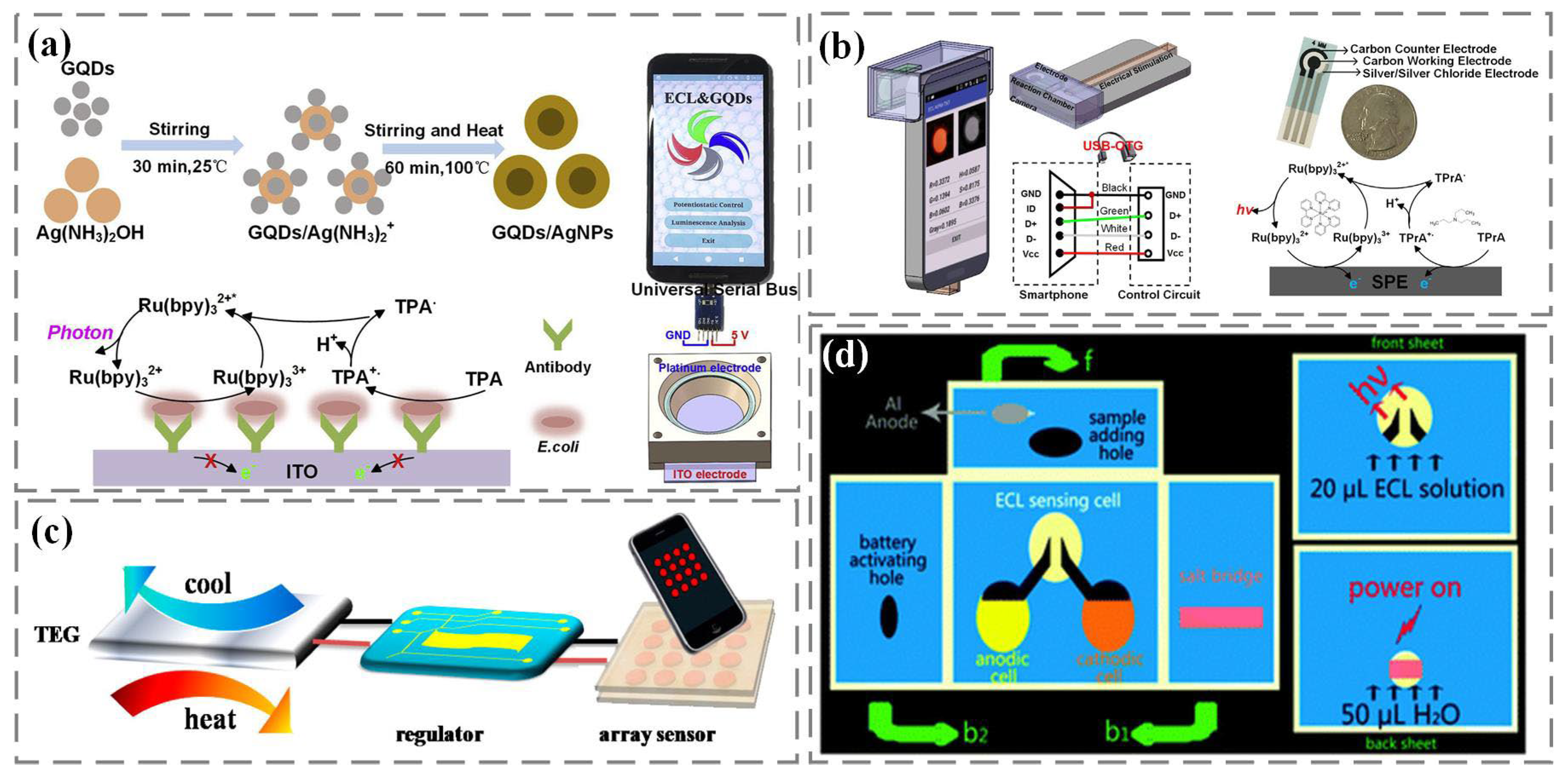 Nanomaterials 13 02400 g005