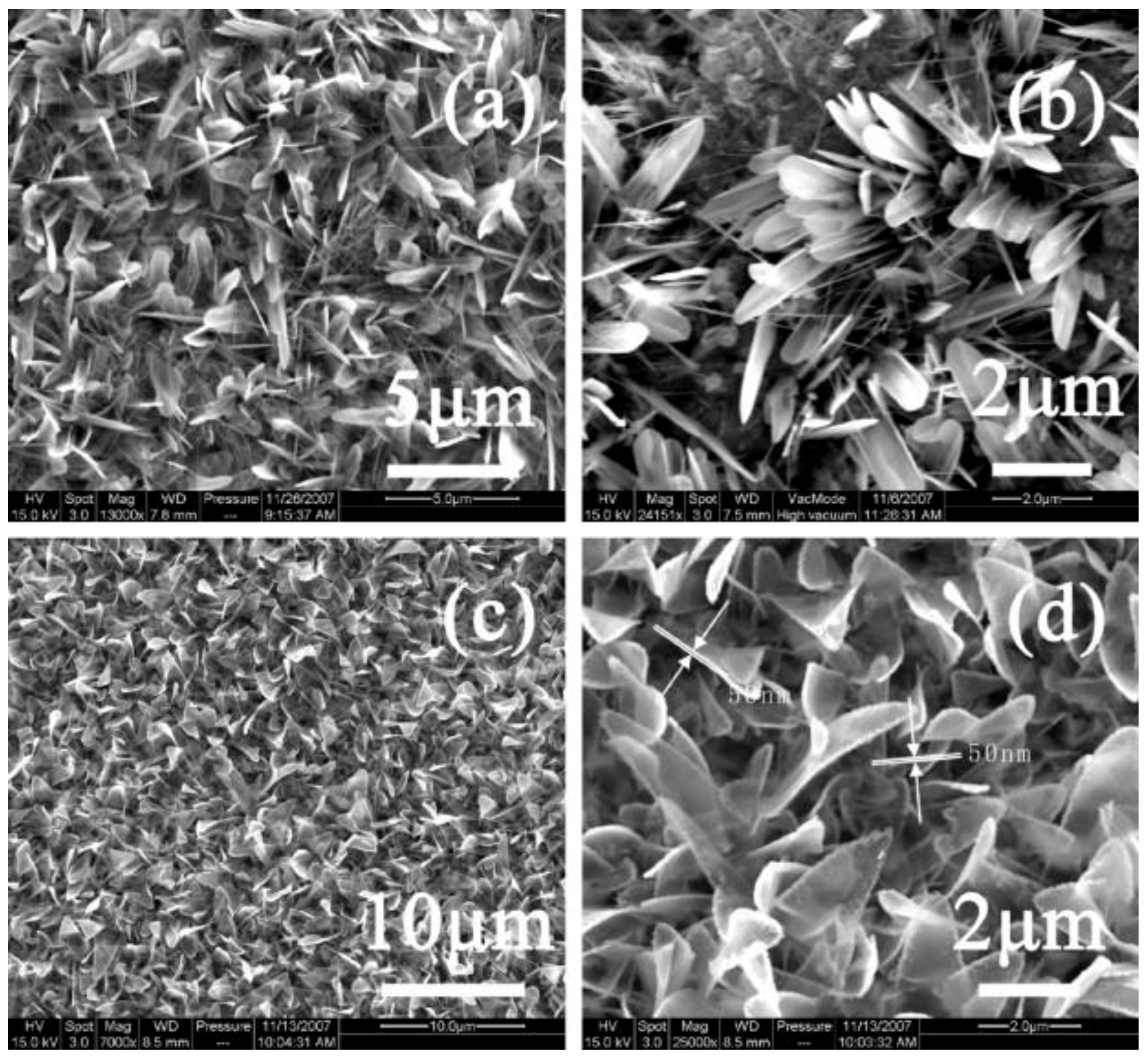 Nanomaterials 13 02418 g010