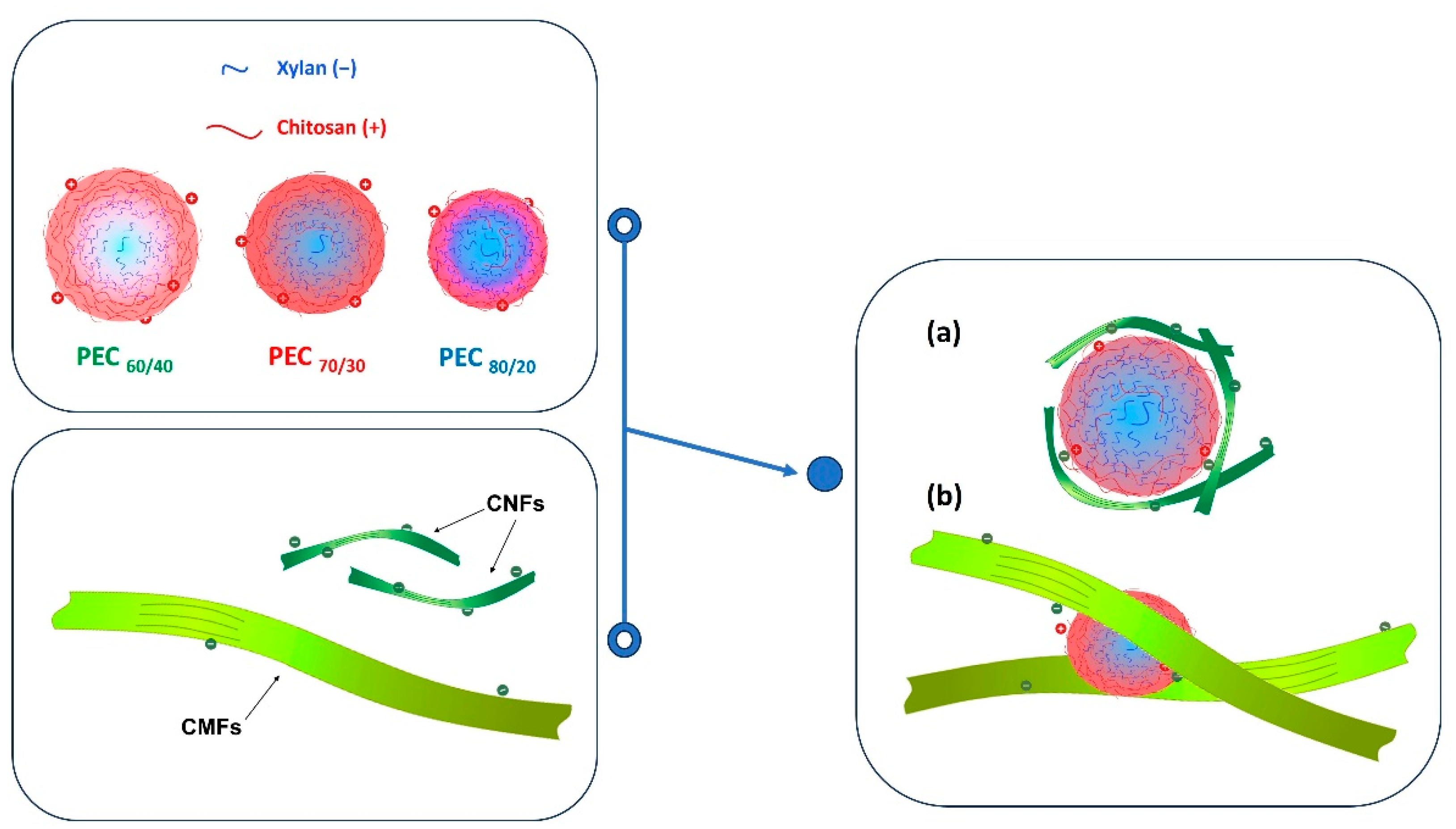 Nanomaterials 13 02420 g008