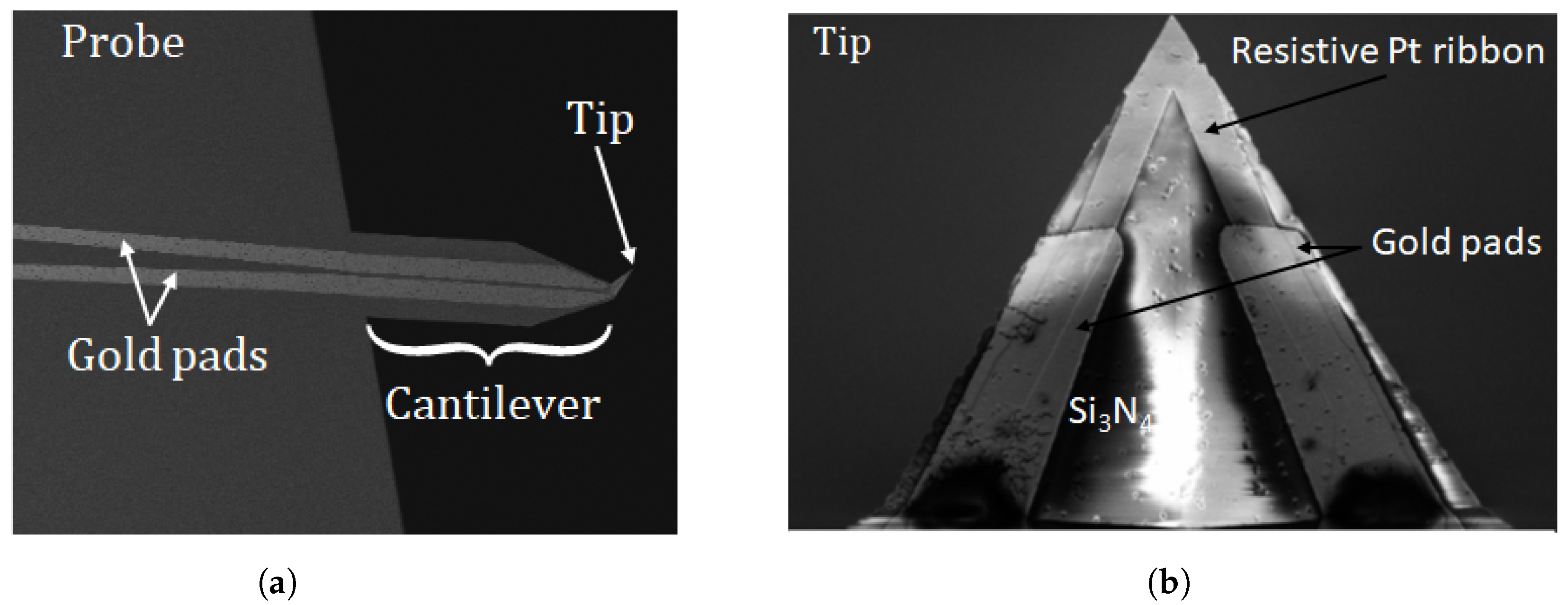 Nanomaterials 13 02424 g002