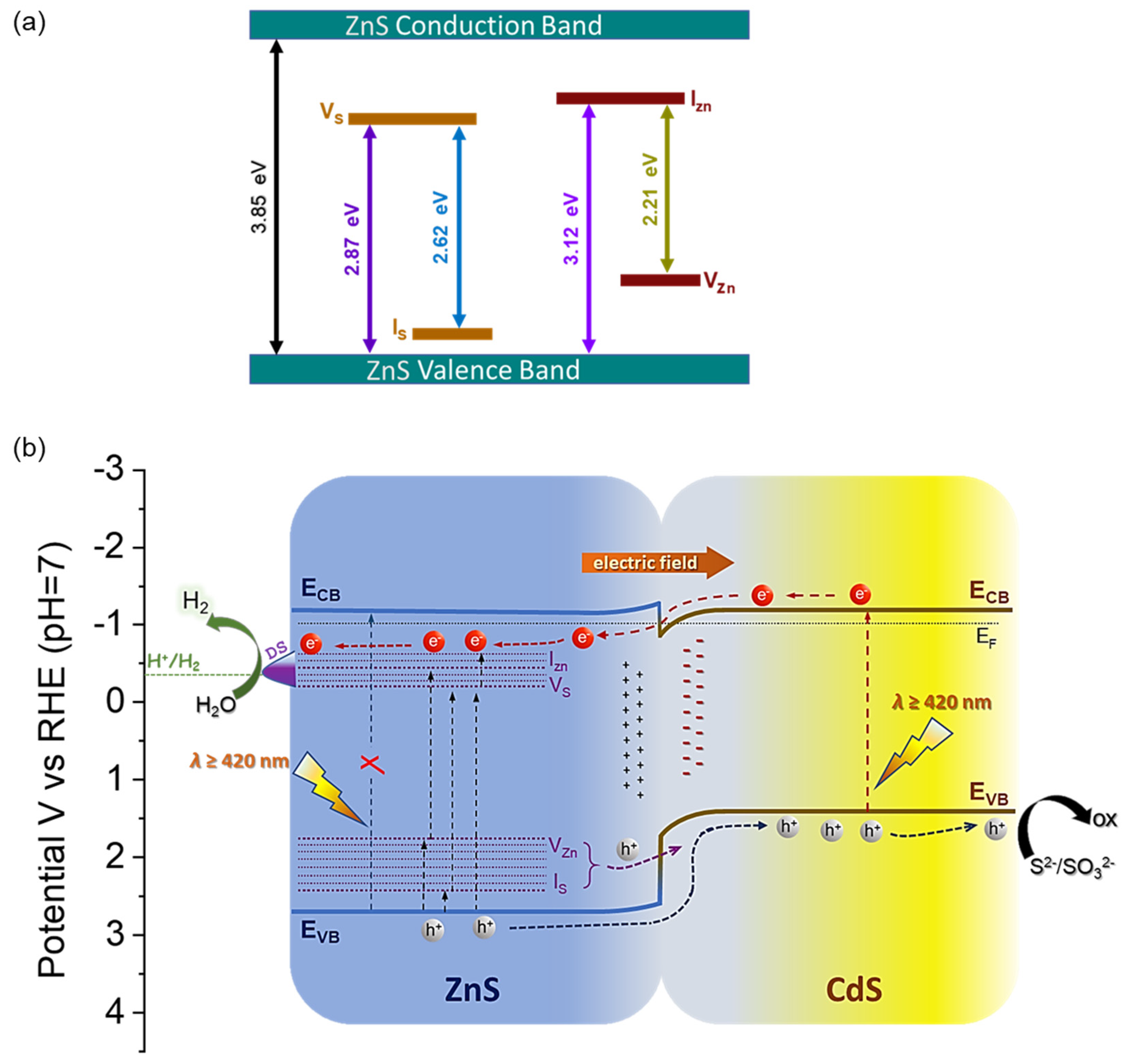 Nanomaterials 13 02426 g007