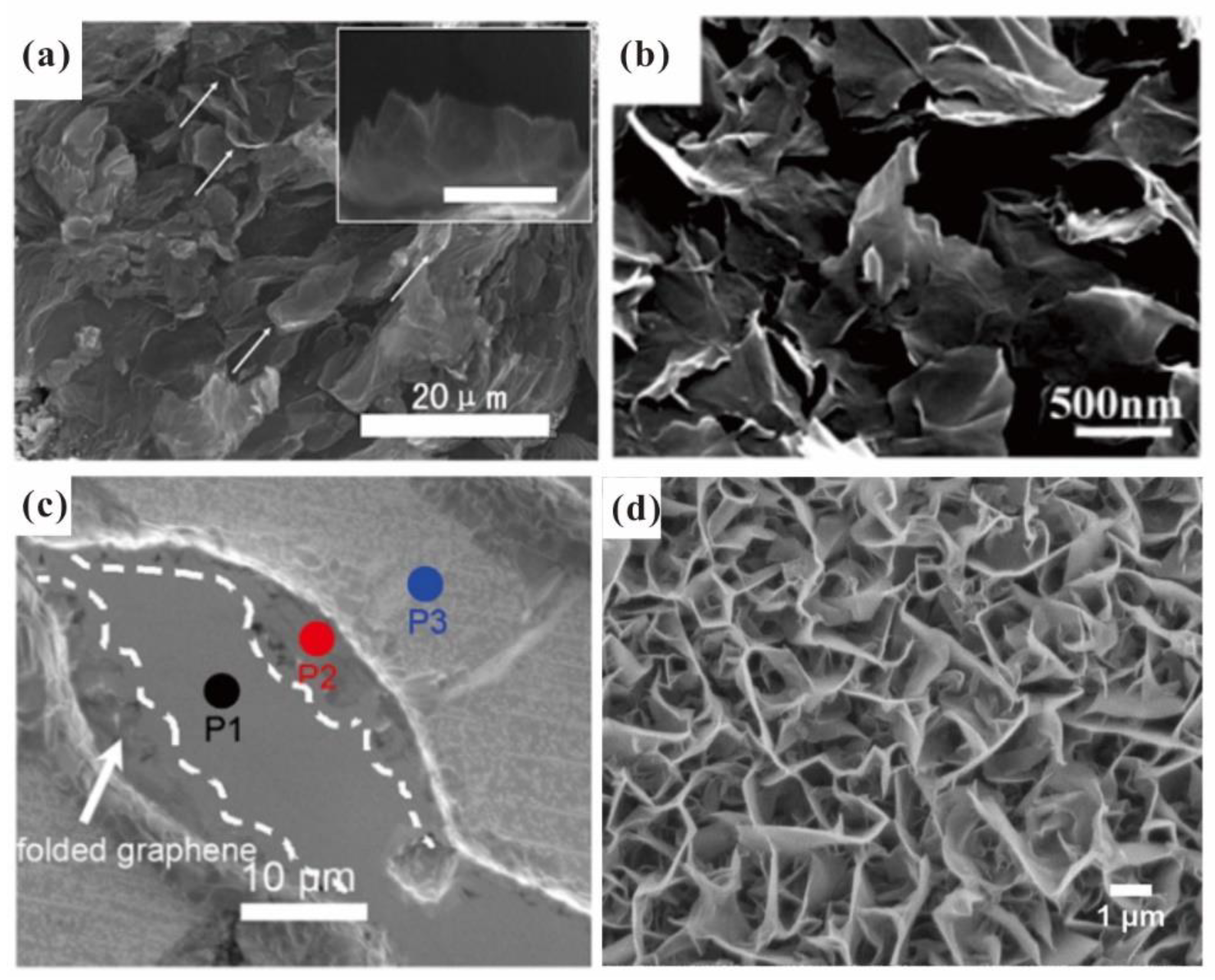 Nanomaterials 13 02437 g001