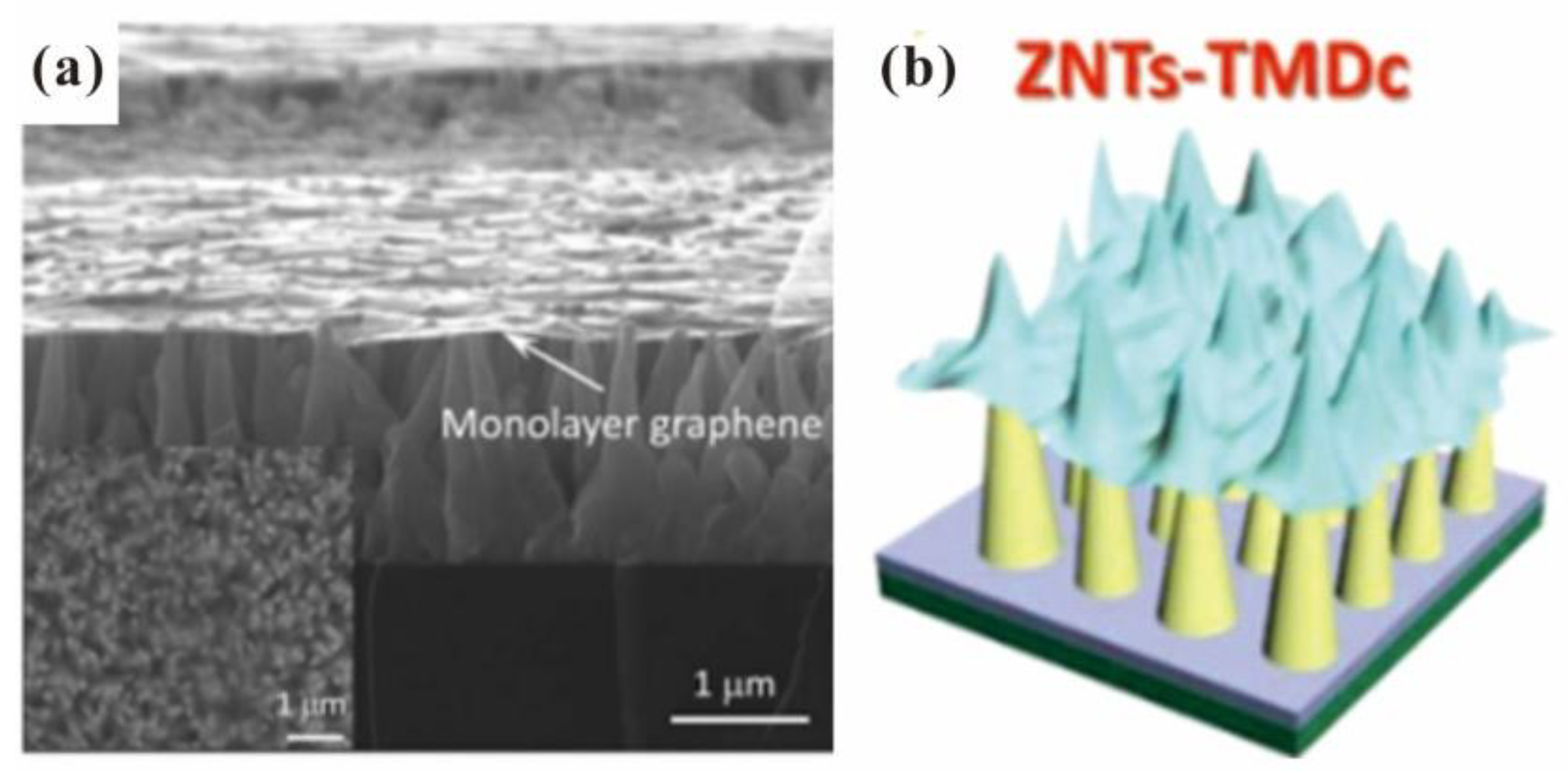 Nanomaterials 13 02437 g003