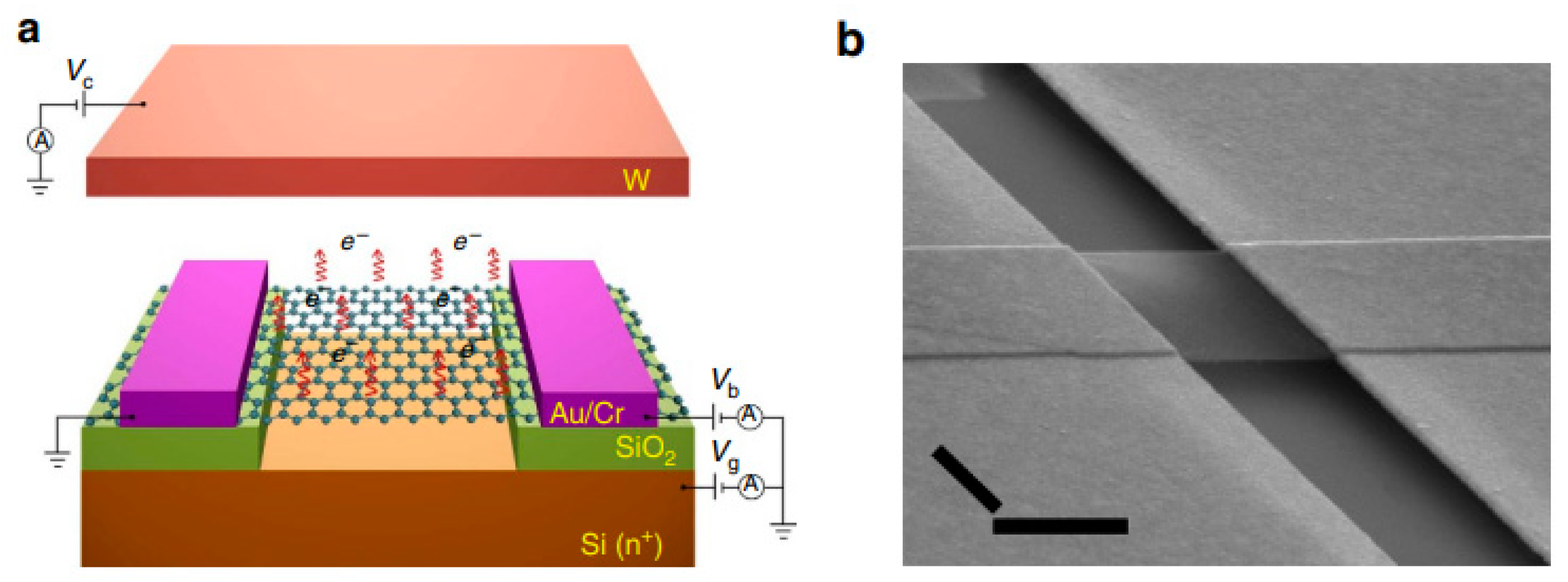 Nanomaterials 13 02437 g005