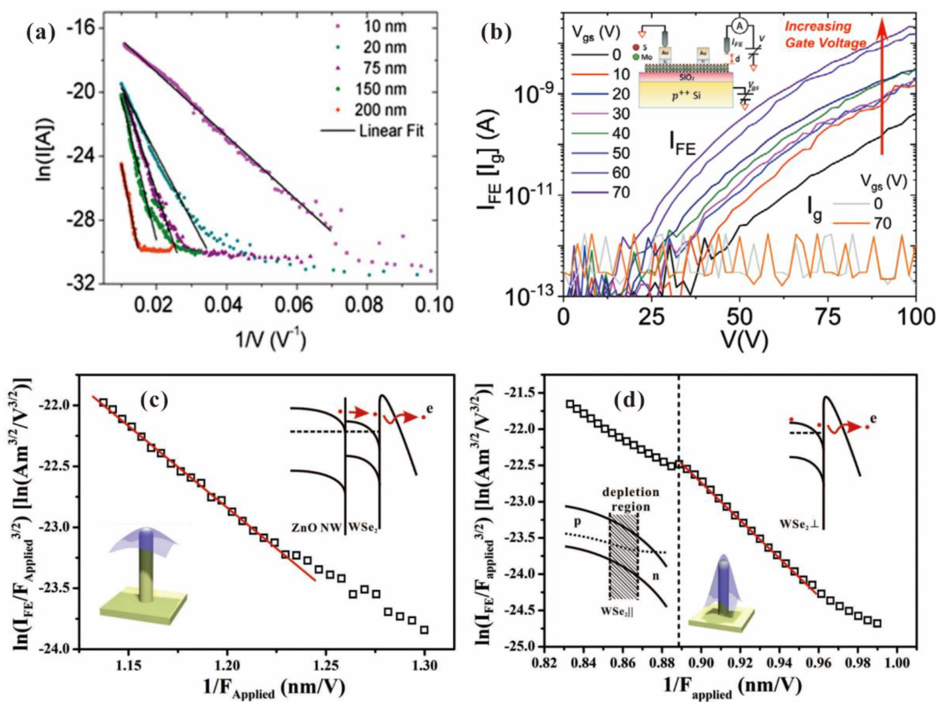 Nanomaterials 13 02437 g011