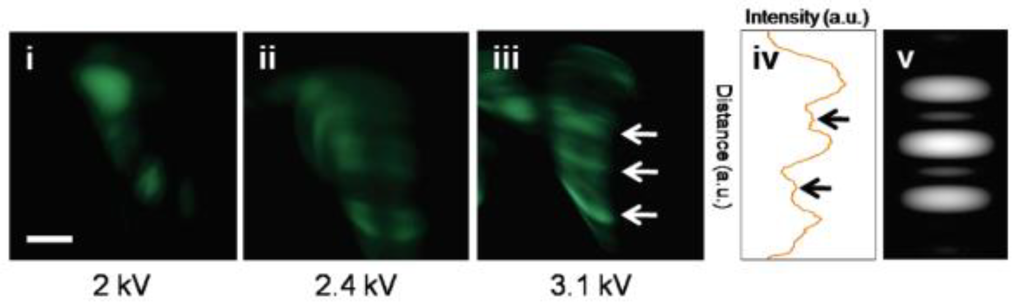 Nanomaterials 13 02437 g012