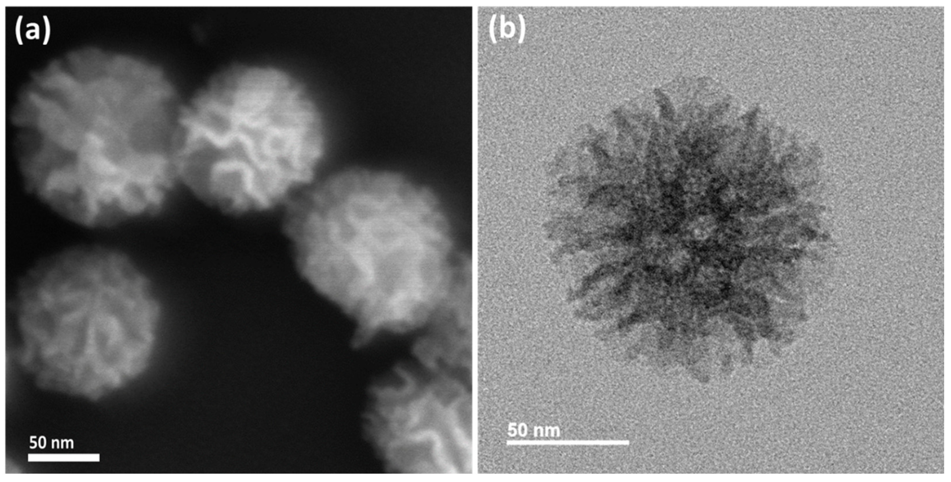 Nanomaterials 13 02441 g001