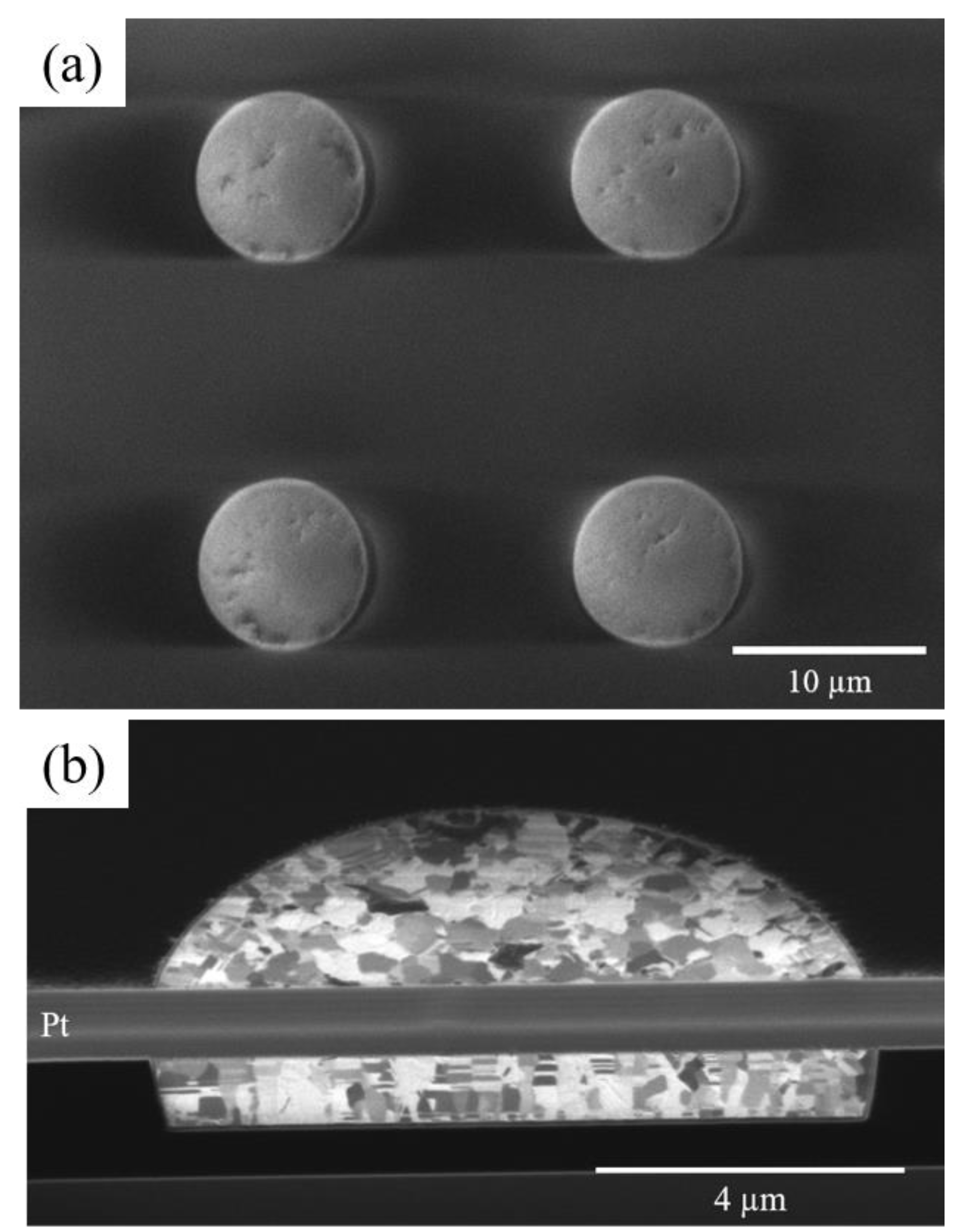 Nanomaterials 13 02448 g003a