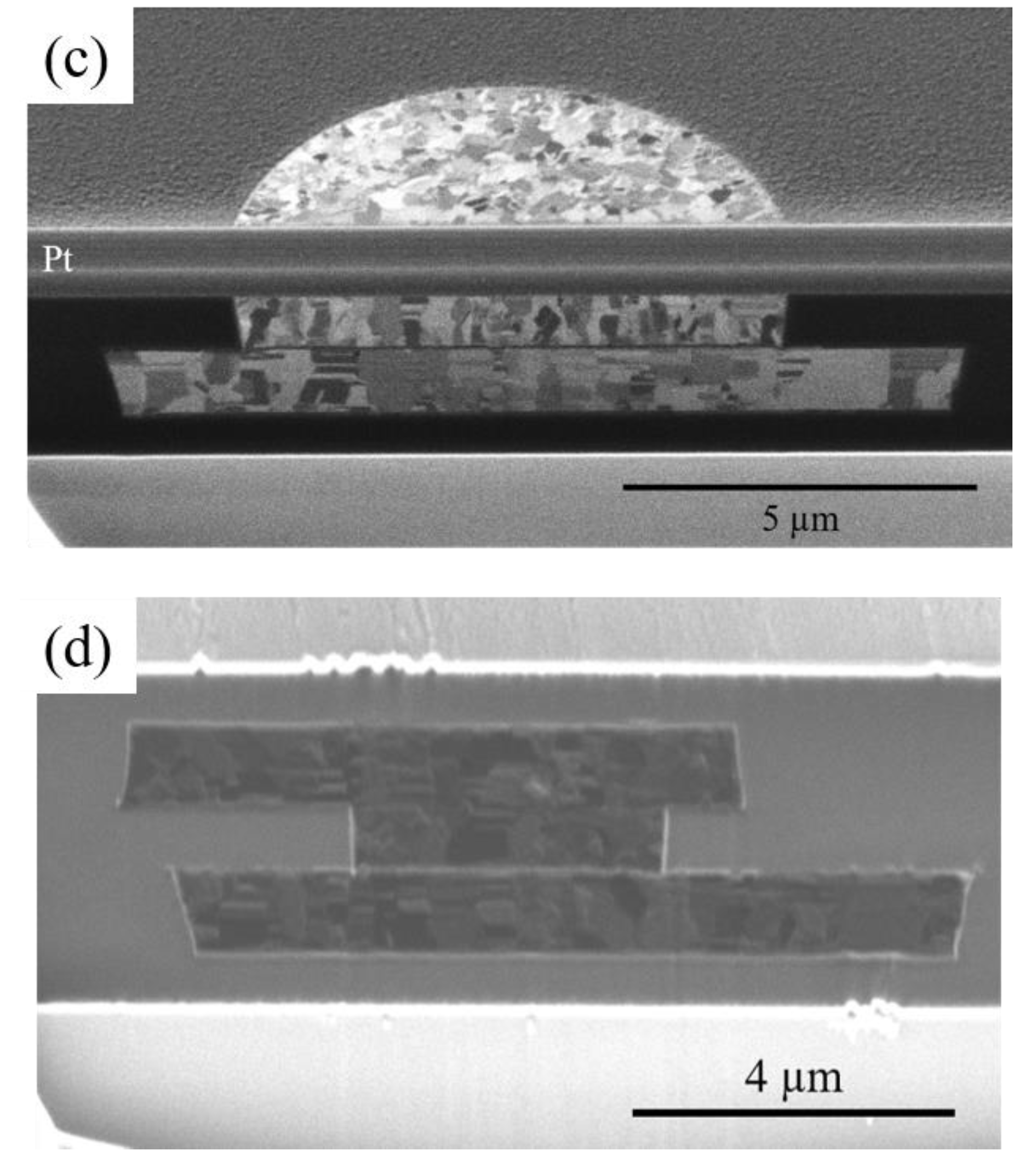 Nanomaterials 13 02448 g003b