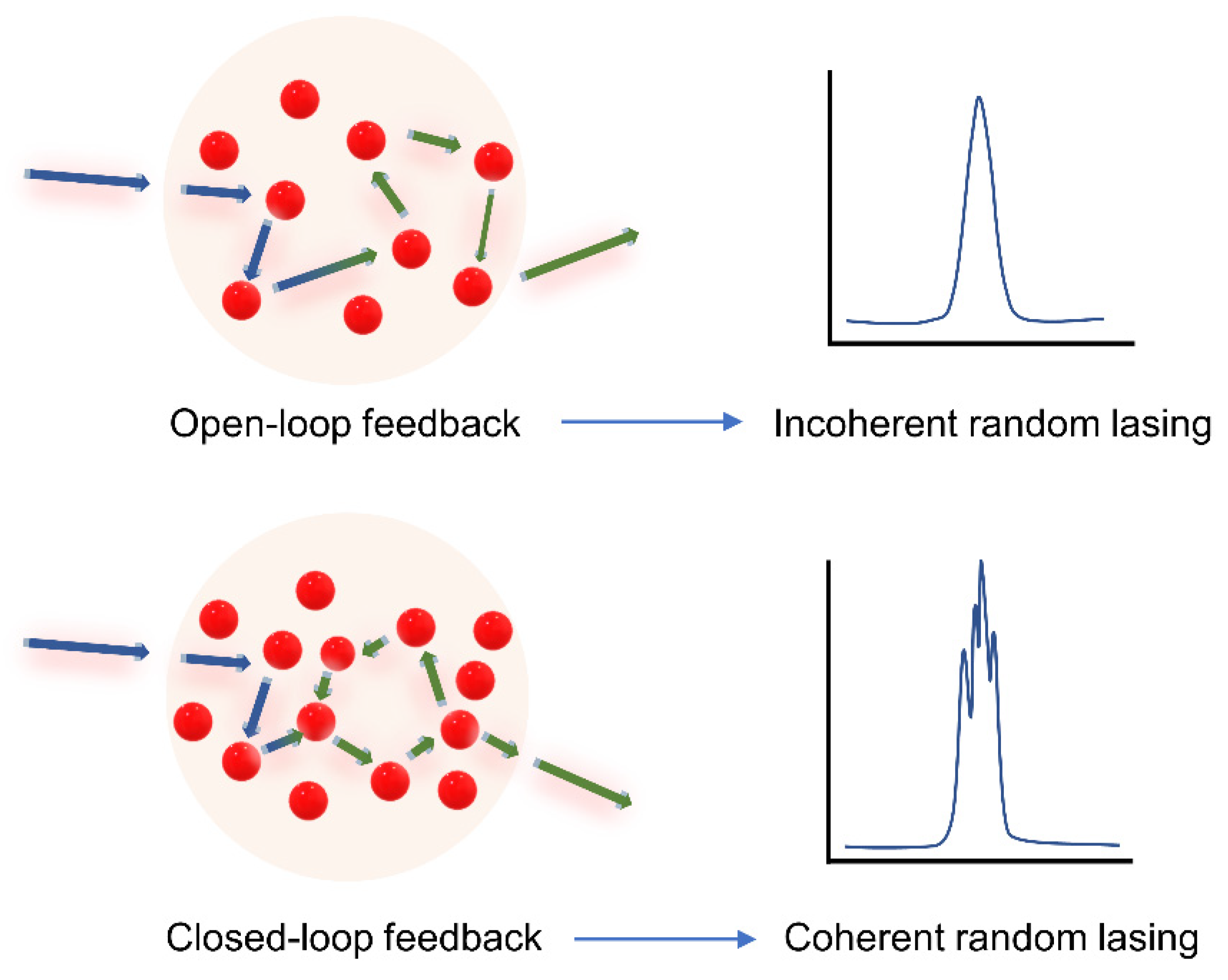 Nanomaterials 13 02466 g004