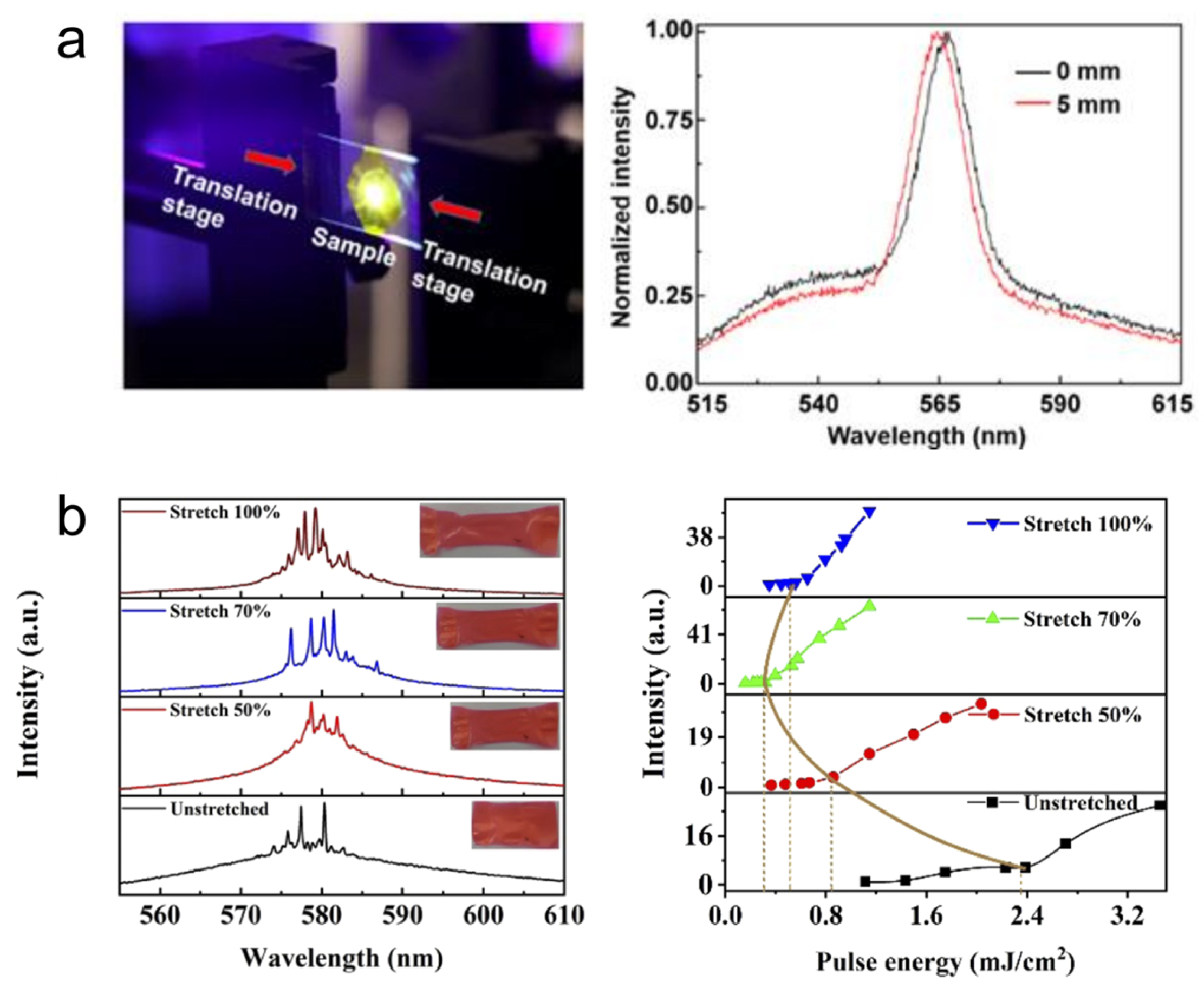 Nanomaterials 13 02466 g007