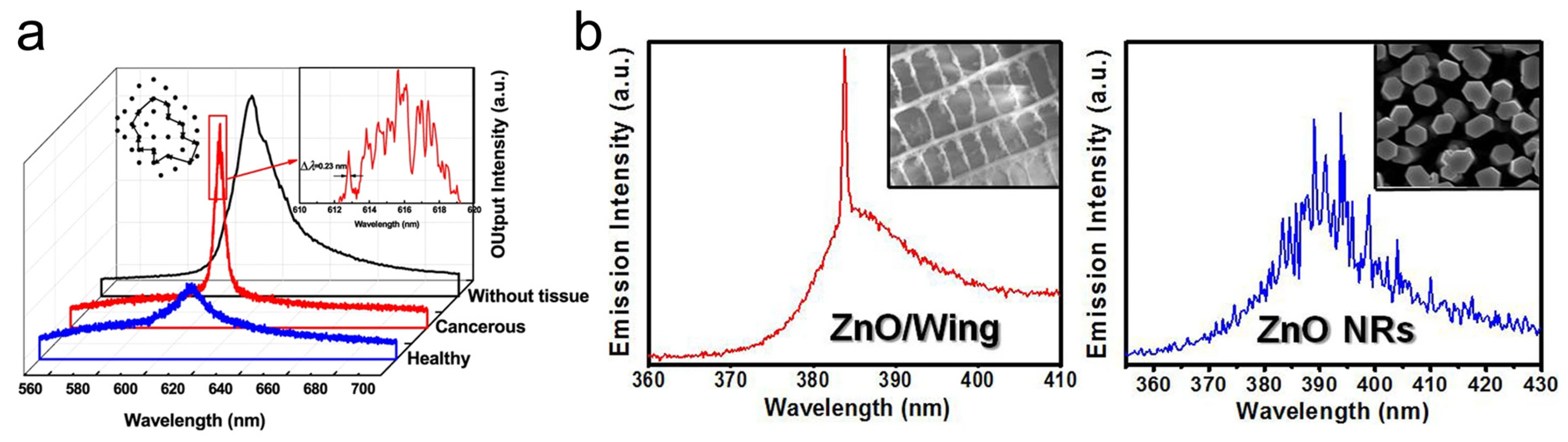 Nanomaterials 13 02466 g008