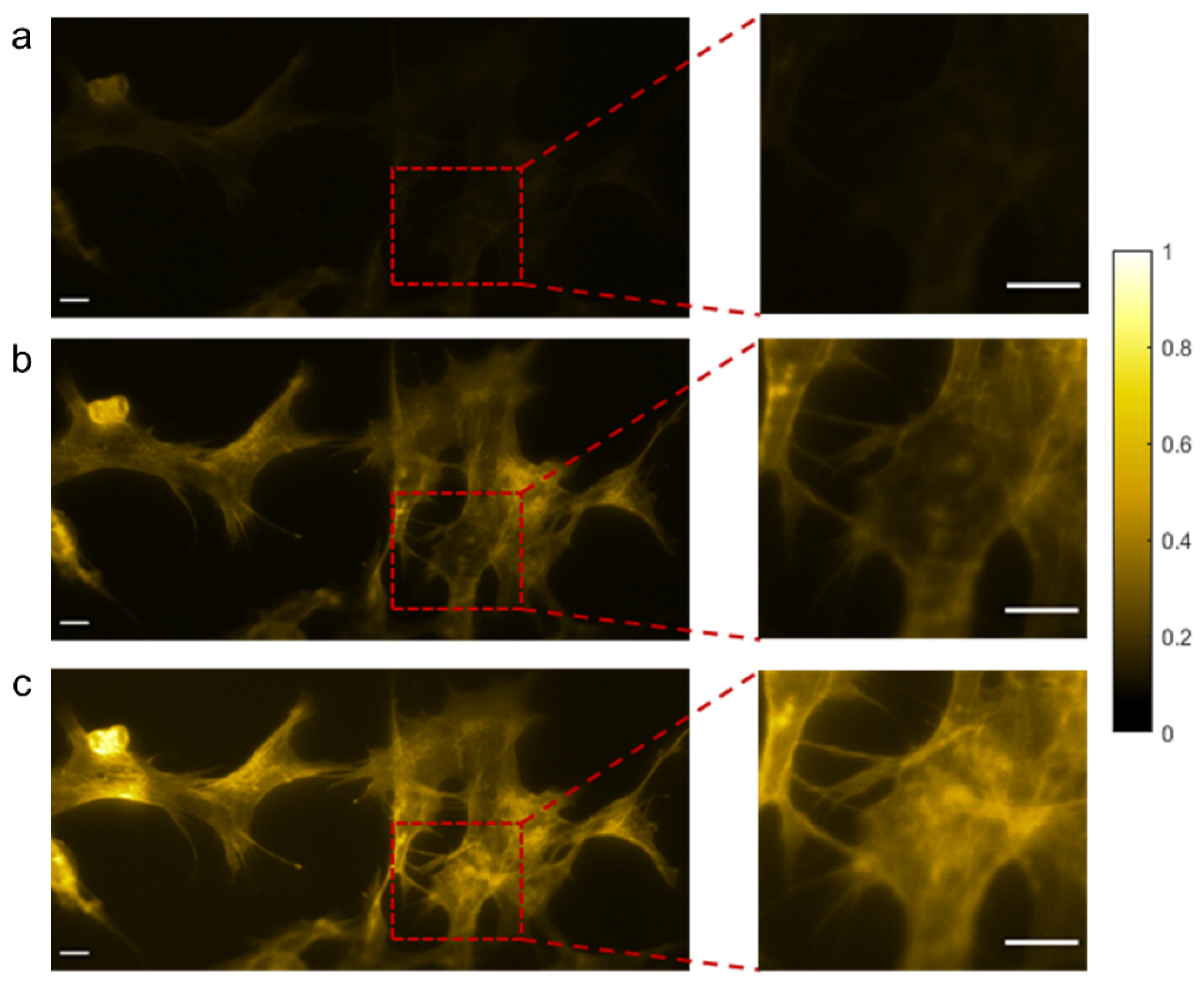 Nanomaterials 13 02466 g012