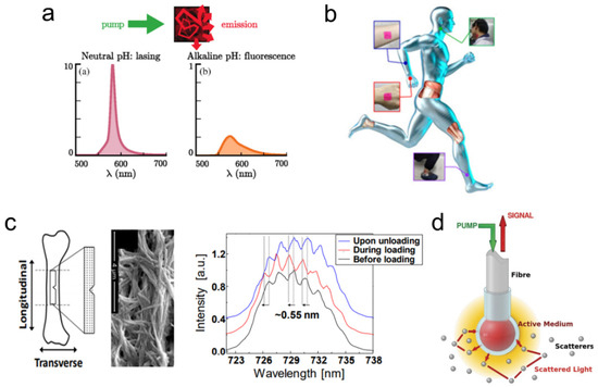 Nanomaterials 13 02466 g013