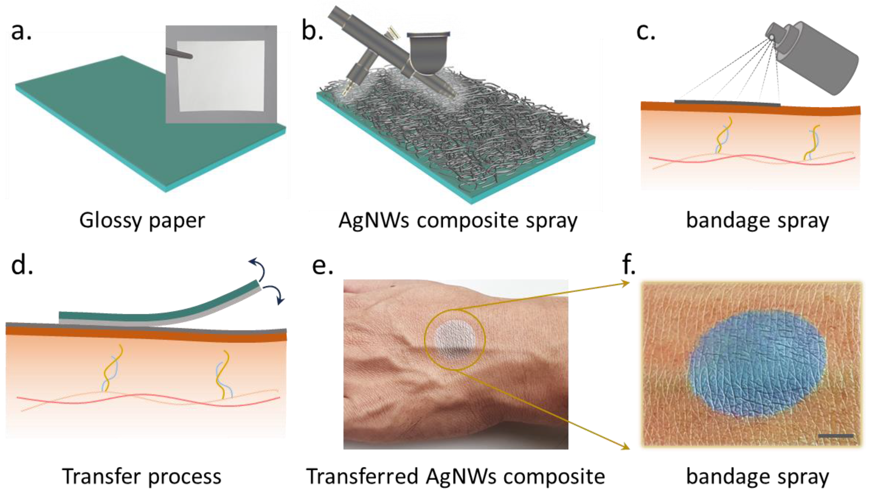 Nanomaterials 13 02467 g001