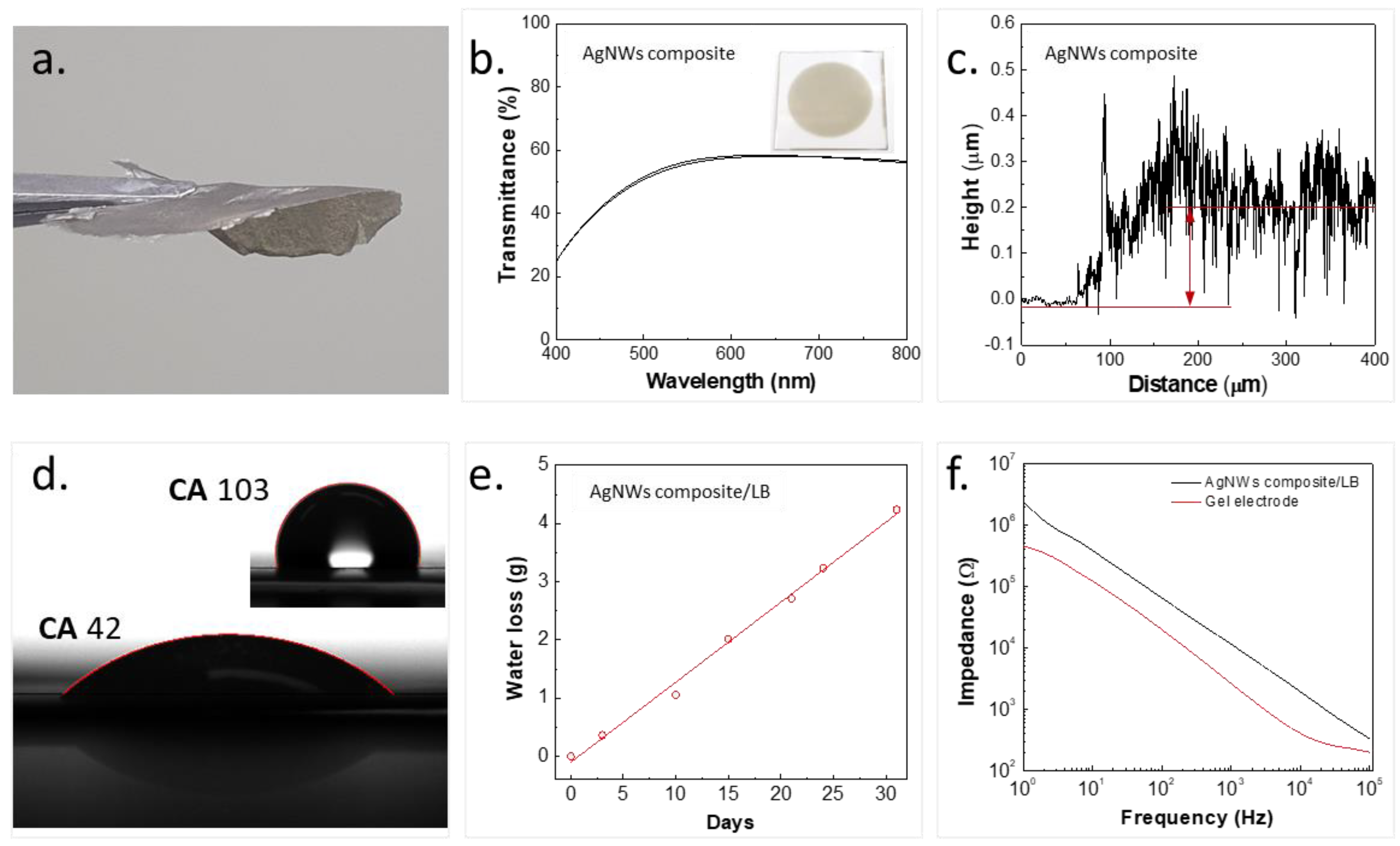 Nanomaterials 13 02467 g002