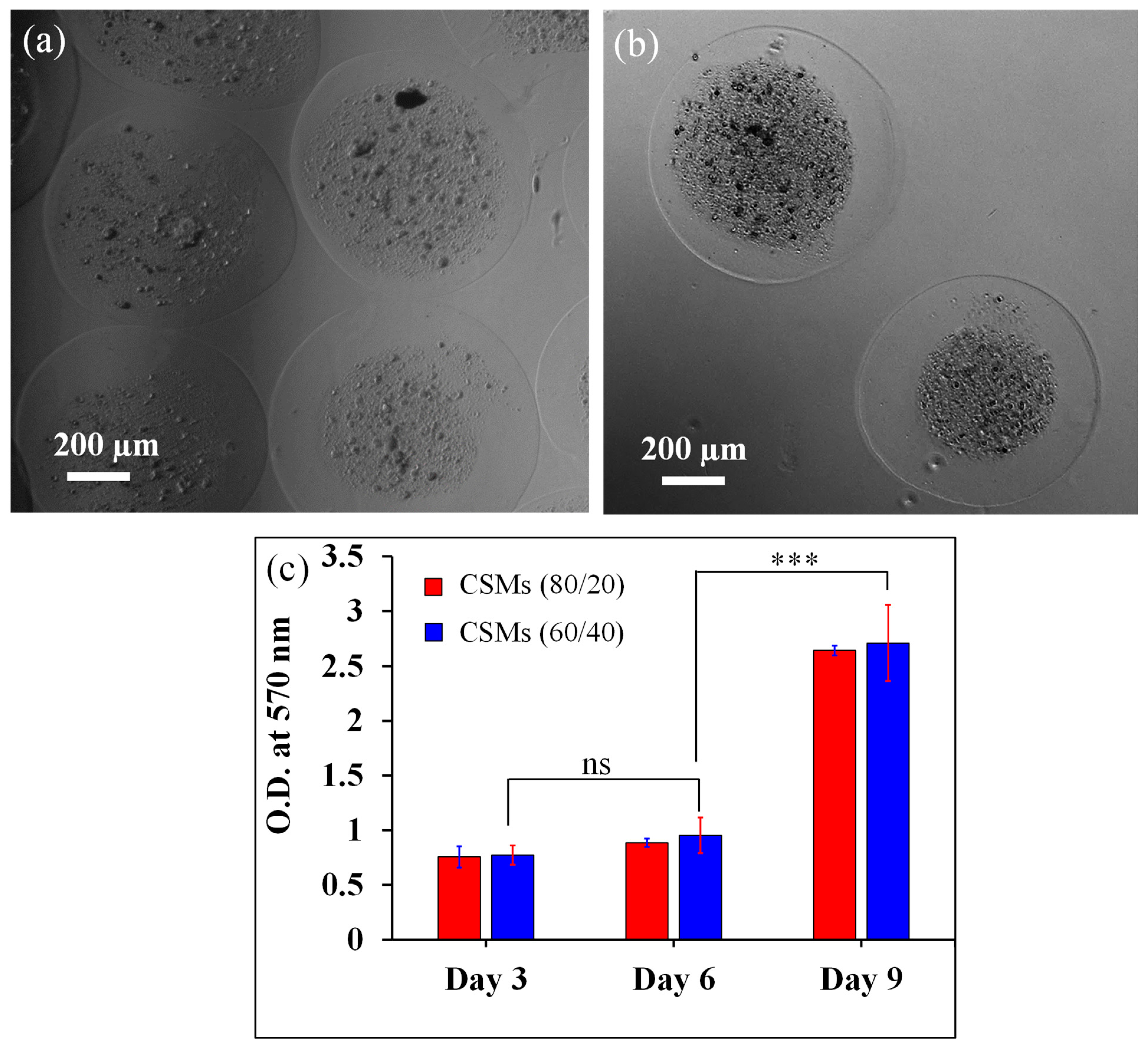 Nanomaterials 13 02470 g007