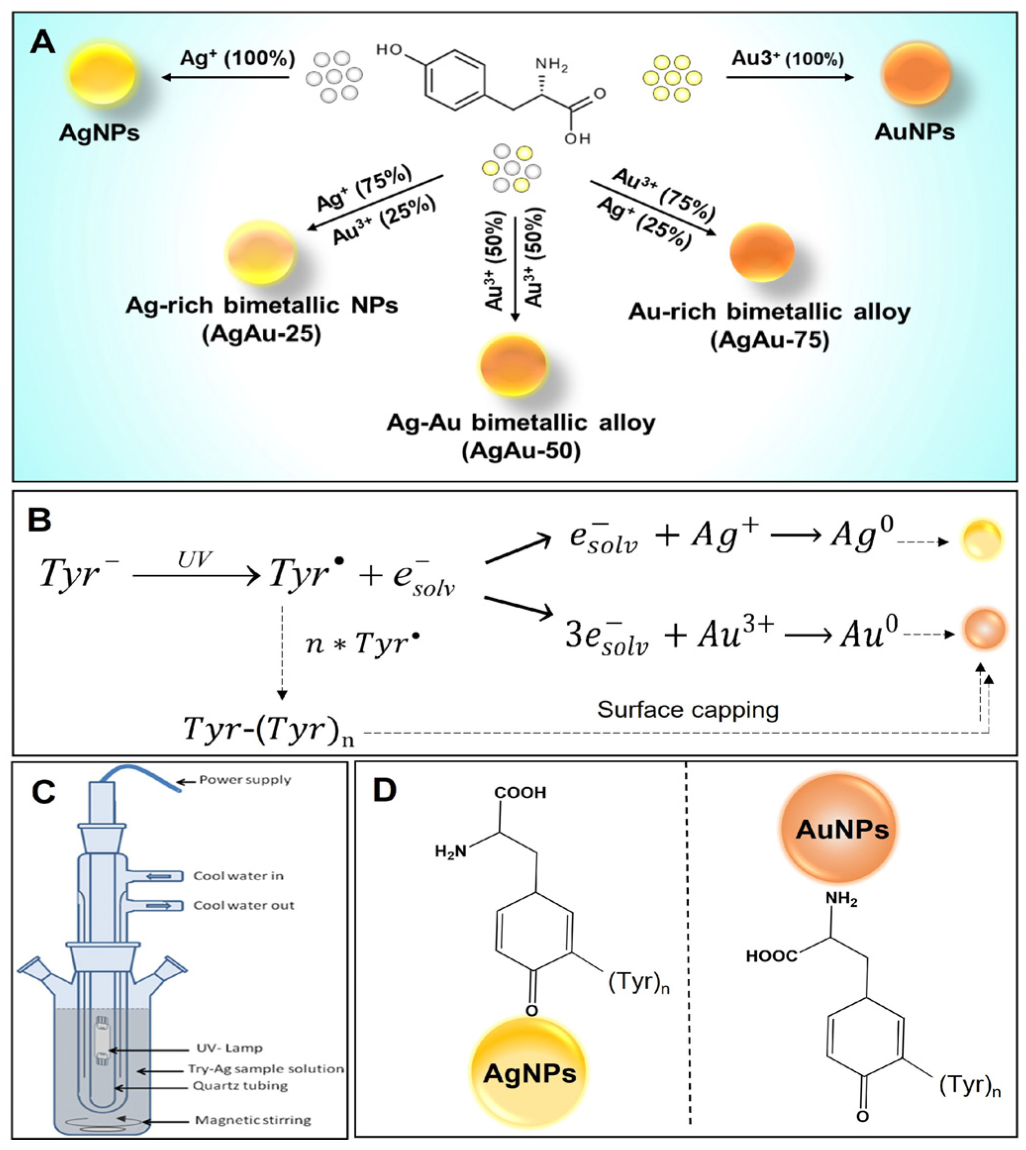 Nanomaterials 13 02471 g001