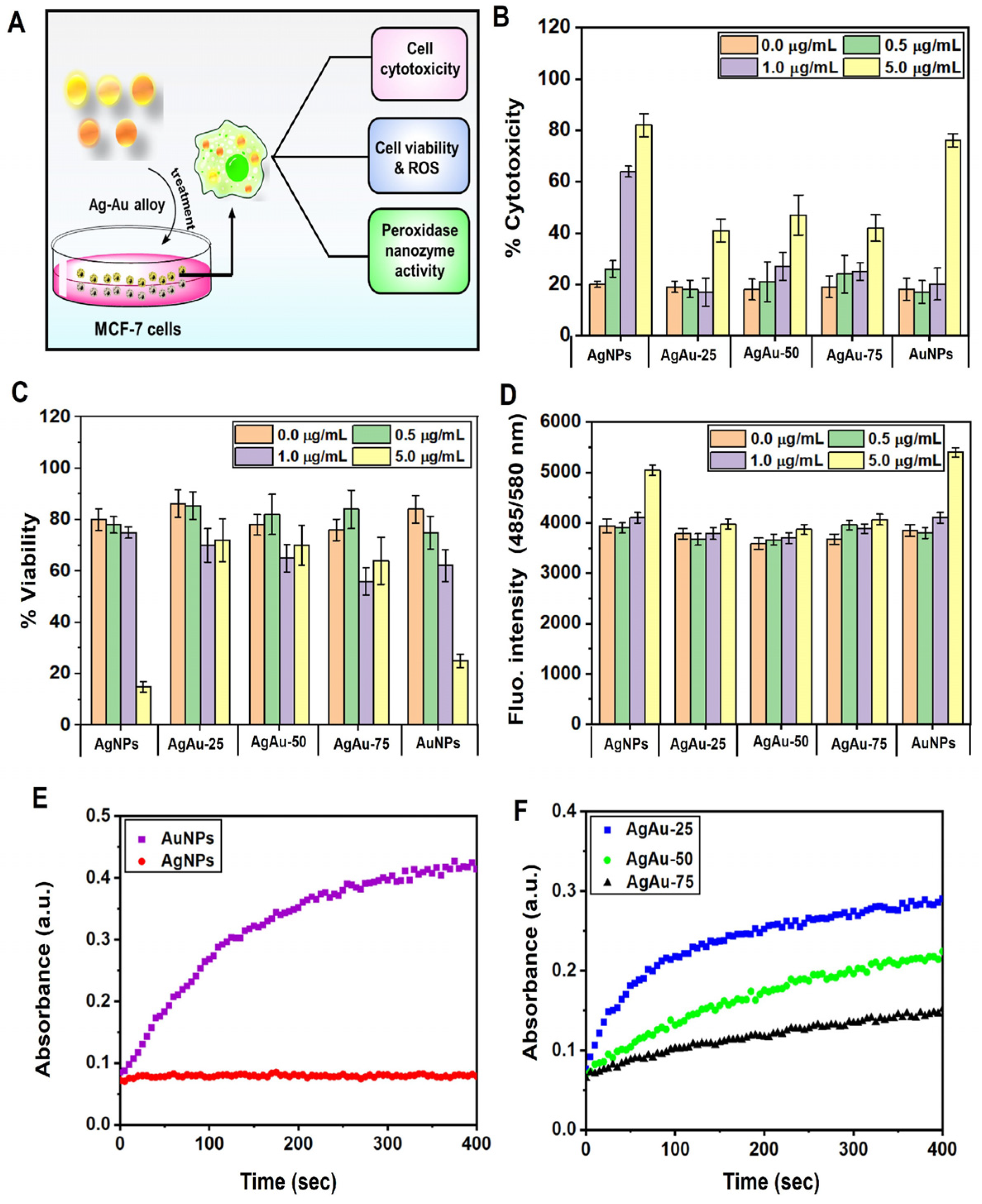 Nanomaterials 13 02471 g006