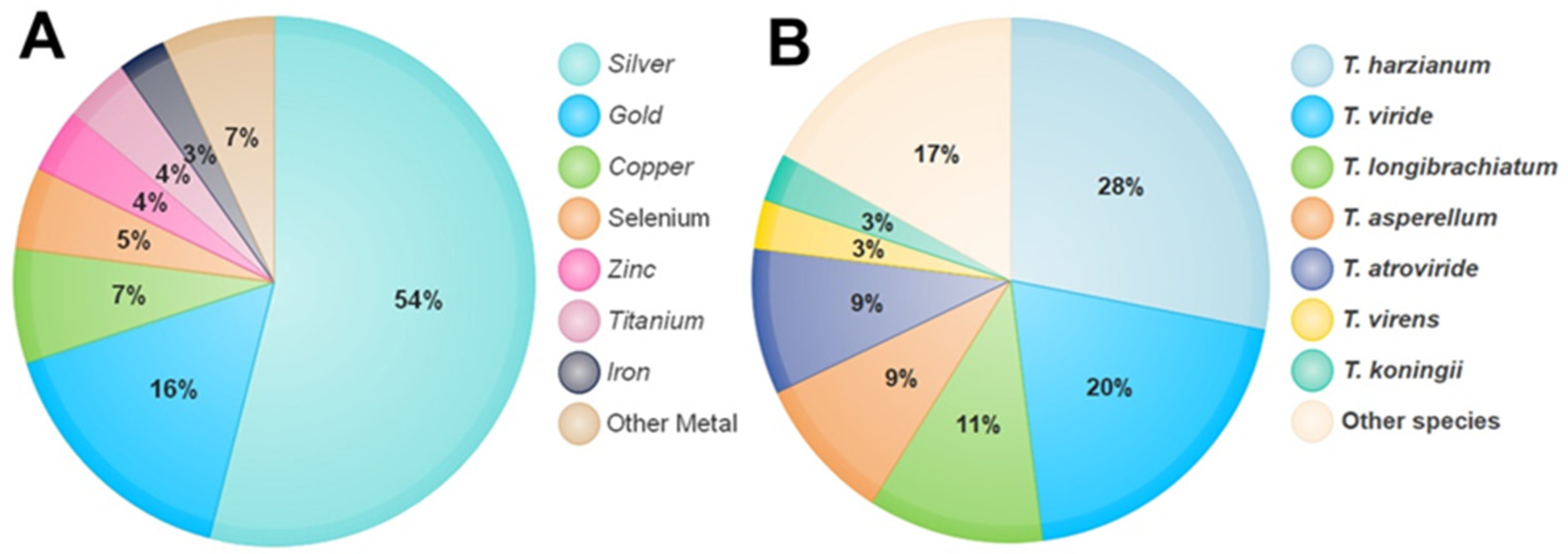 Nanomaterials 13 02475 g001 Nanomaterials 13 02475 g001