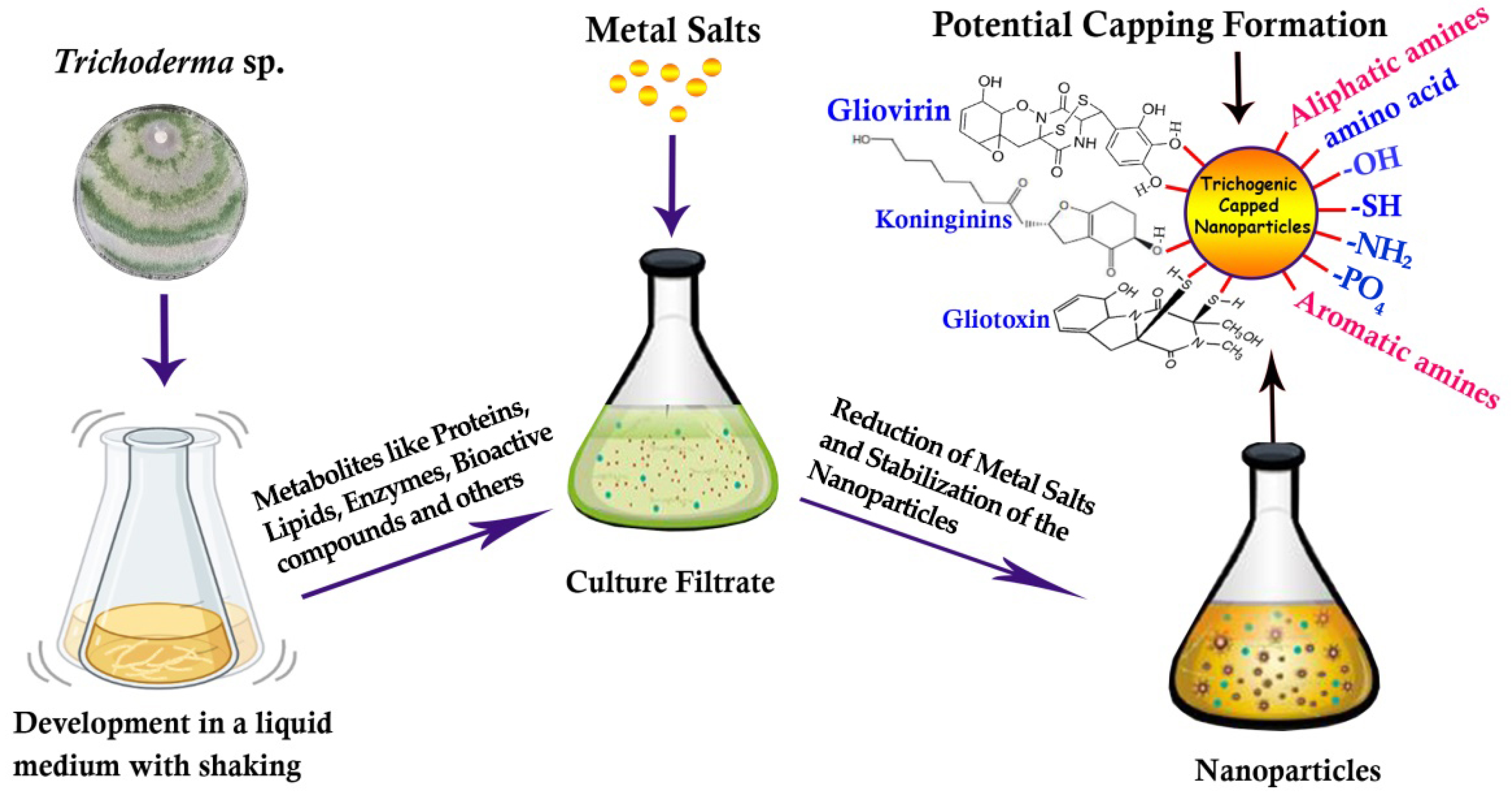 Nanomaterials 13 02475 g002 Nanomaterials 13 02475 g002