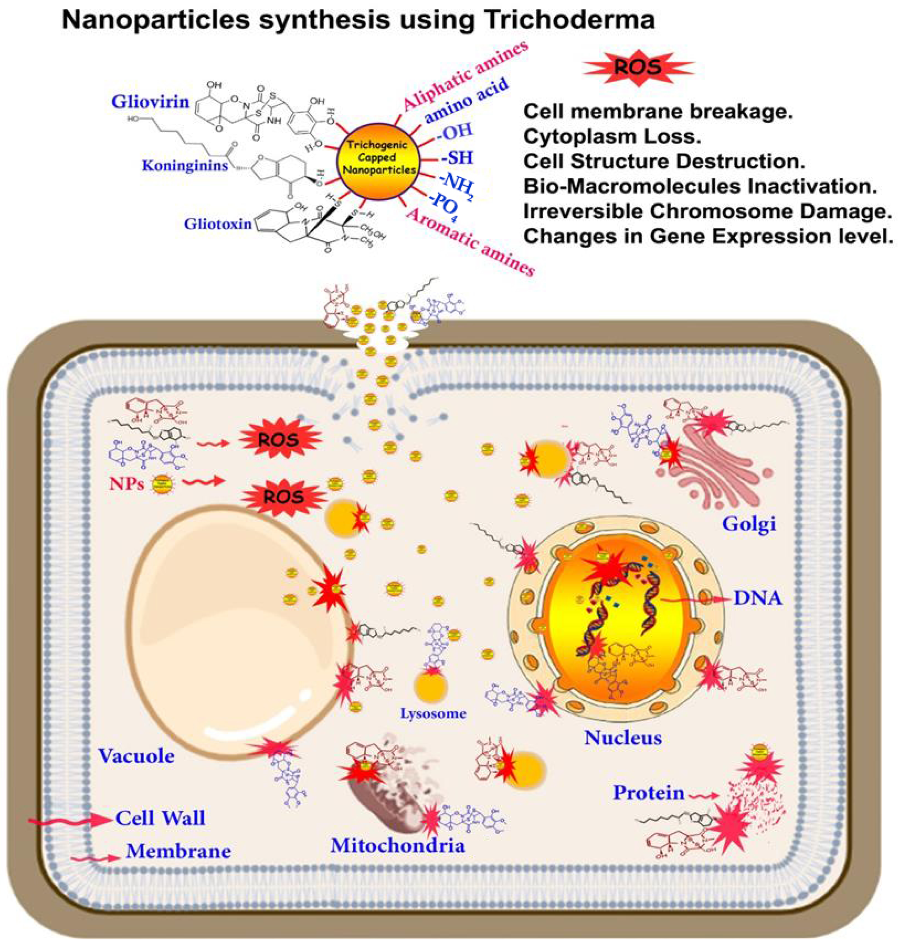 Nanomaterials 13 02475 g003 Nanomaterials 13 02475 g003