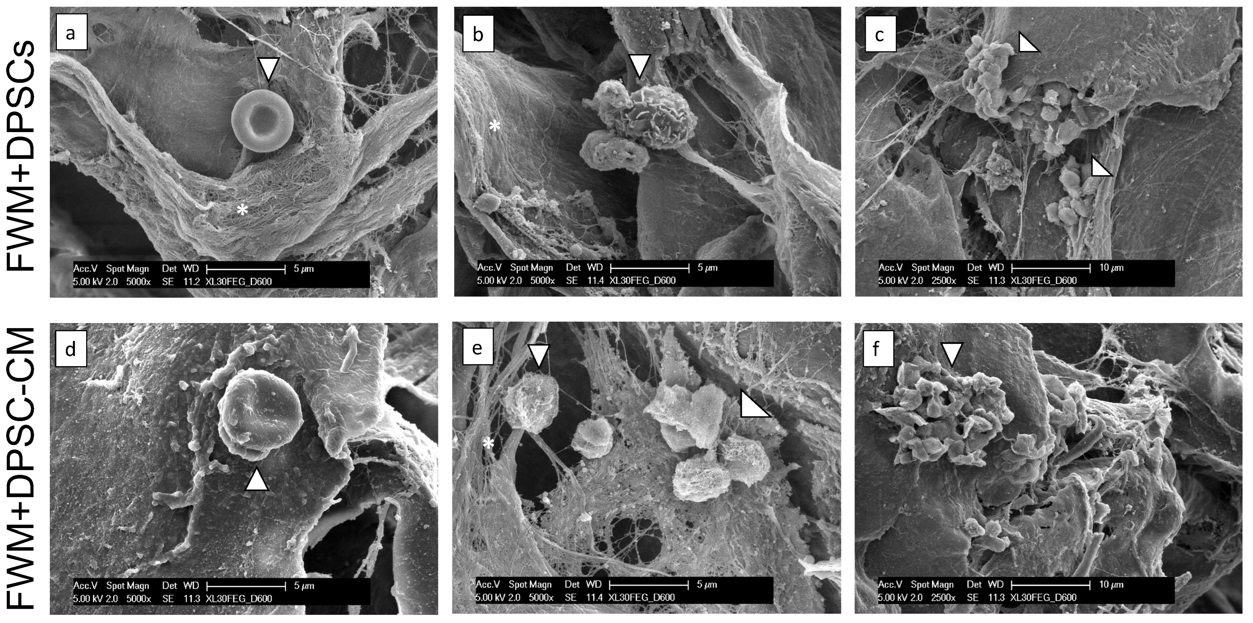 Nanomaterials 13 02479 g003