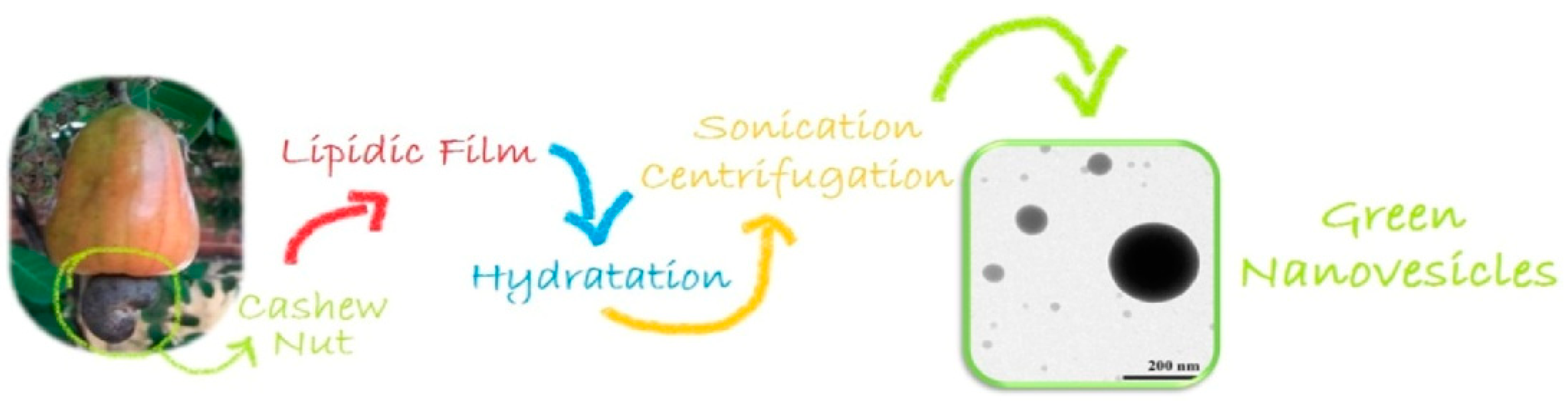 Nanomaterials 13 02486 g005