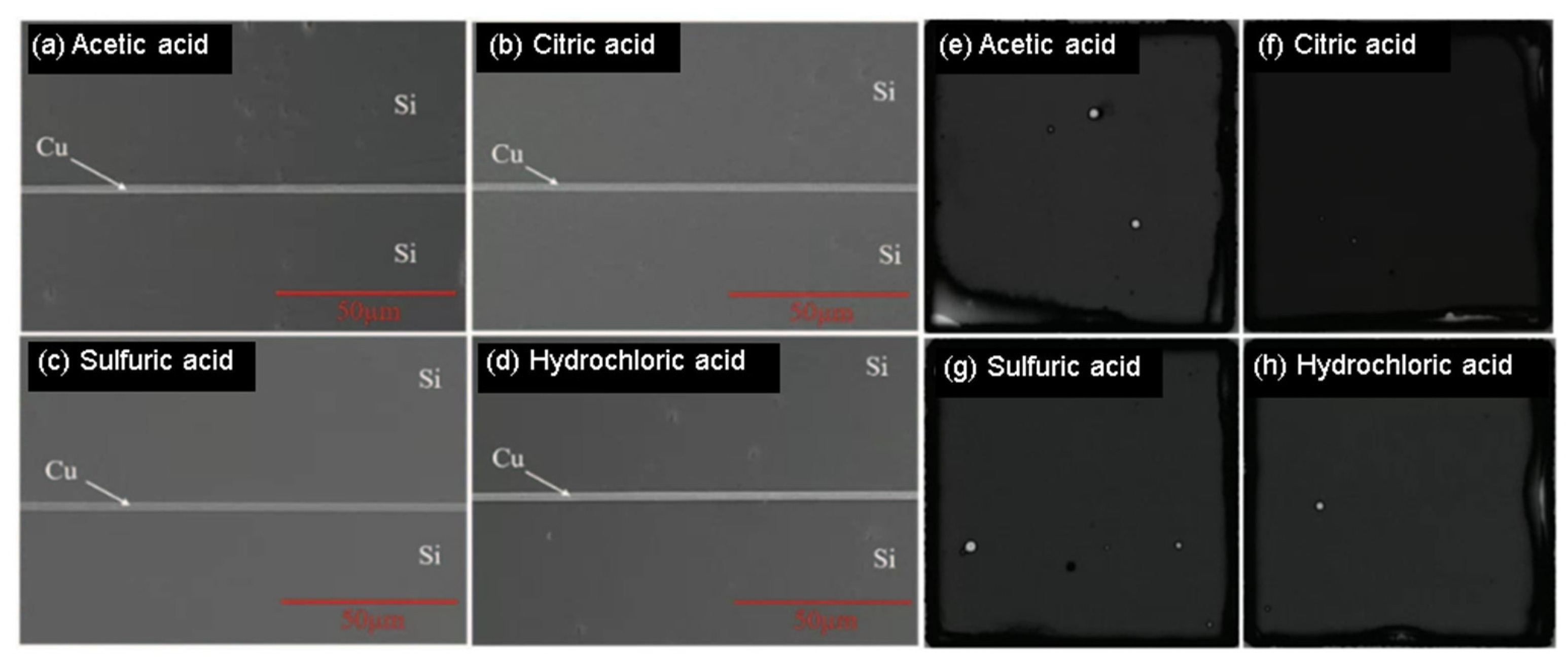 Nanomaterials 13 02490 g001