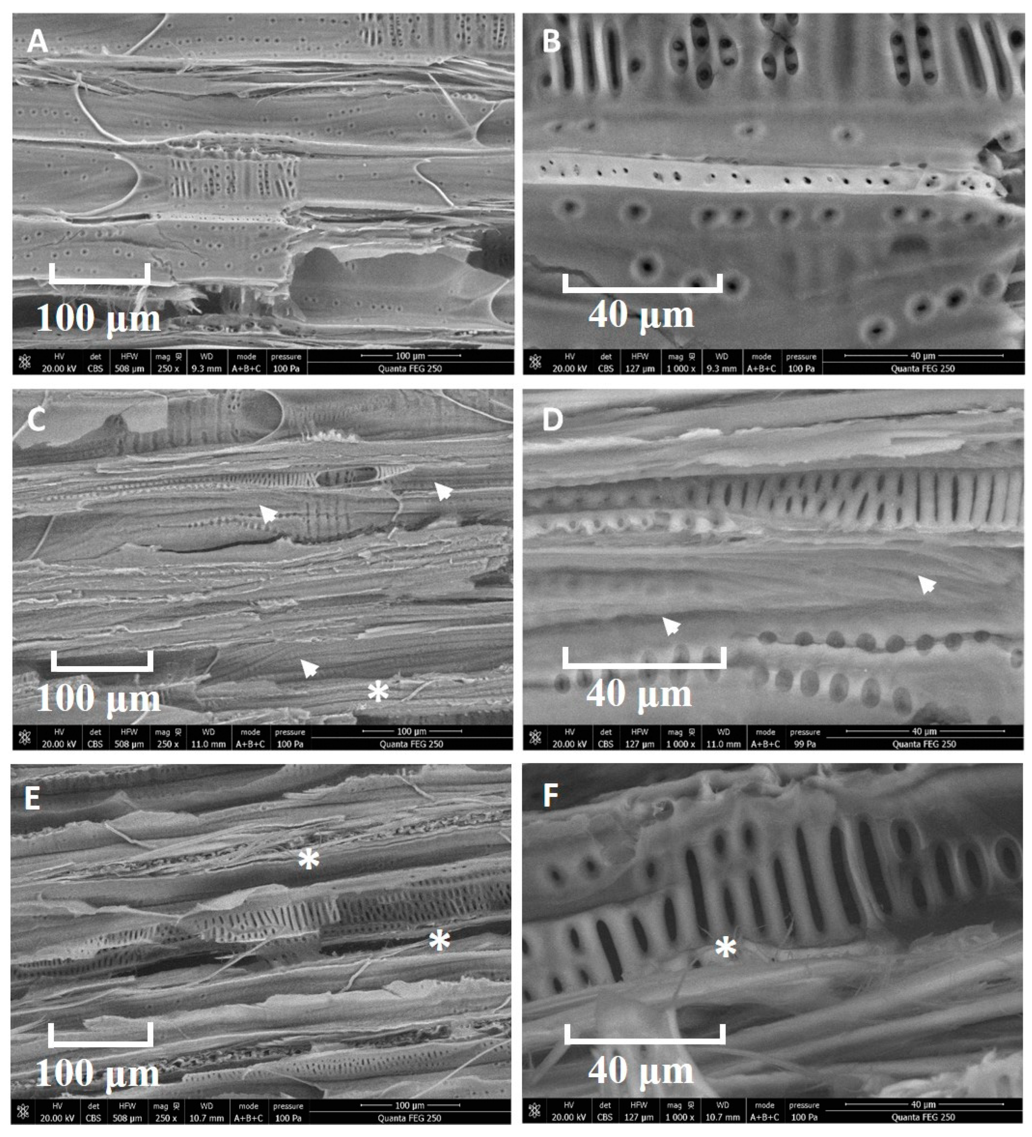 Nanomaterials 13 02491 g001