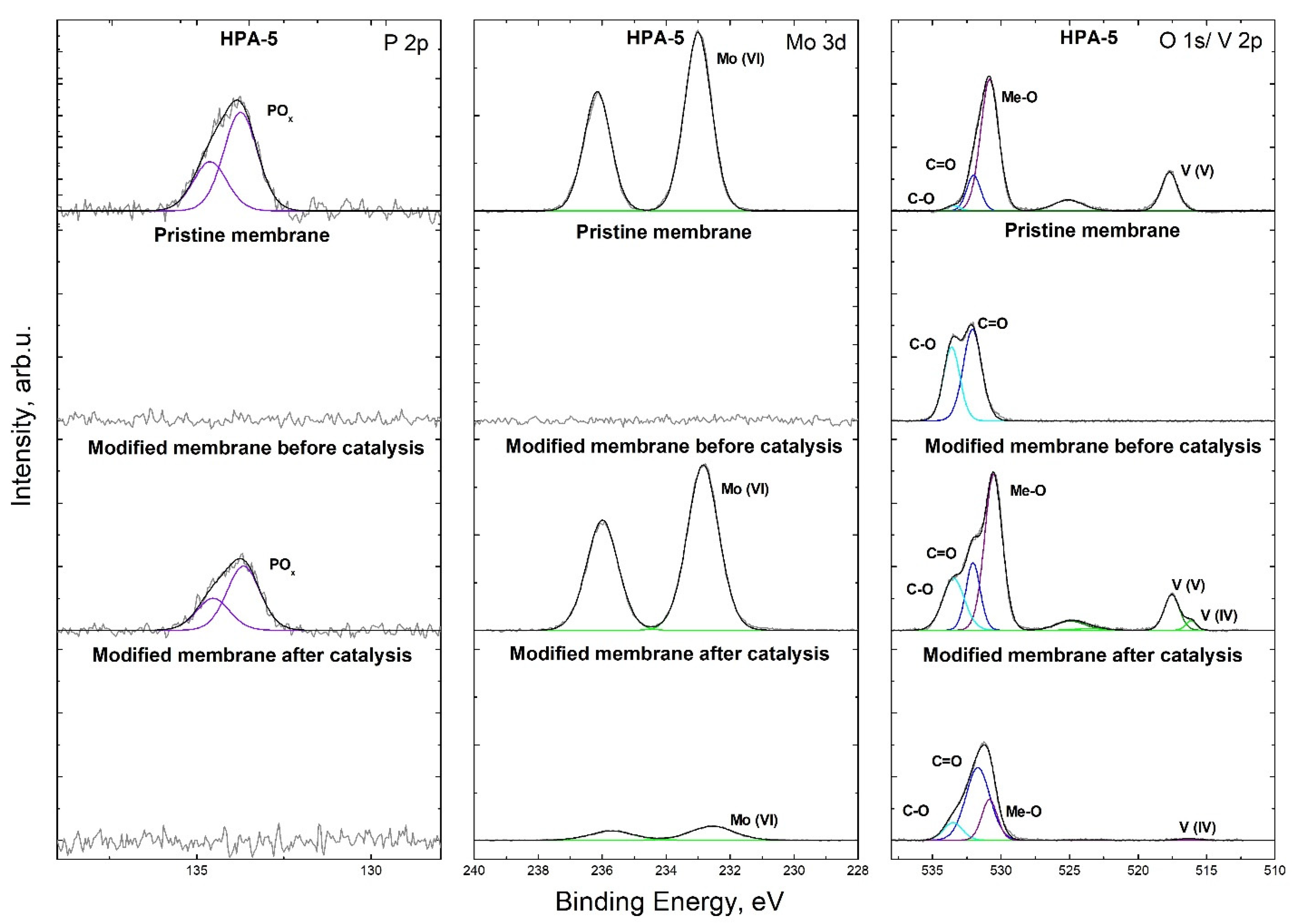 Nanomaterials 13 02498 g009