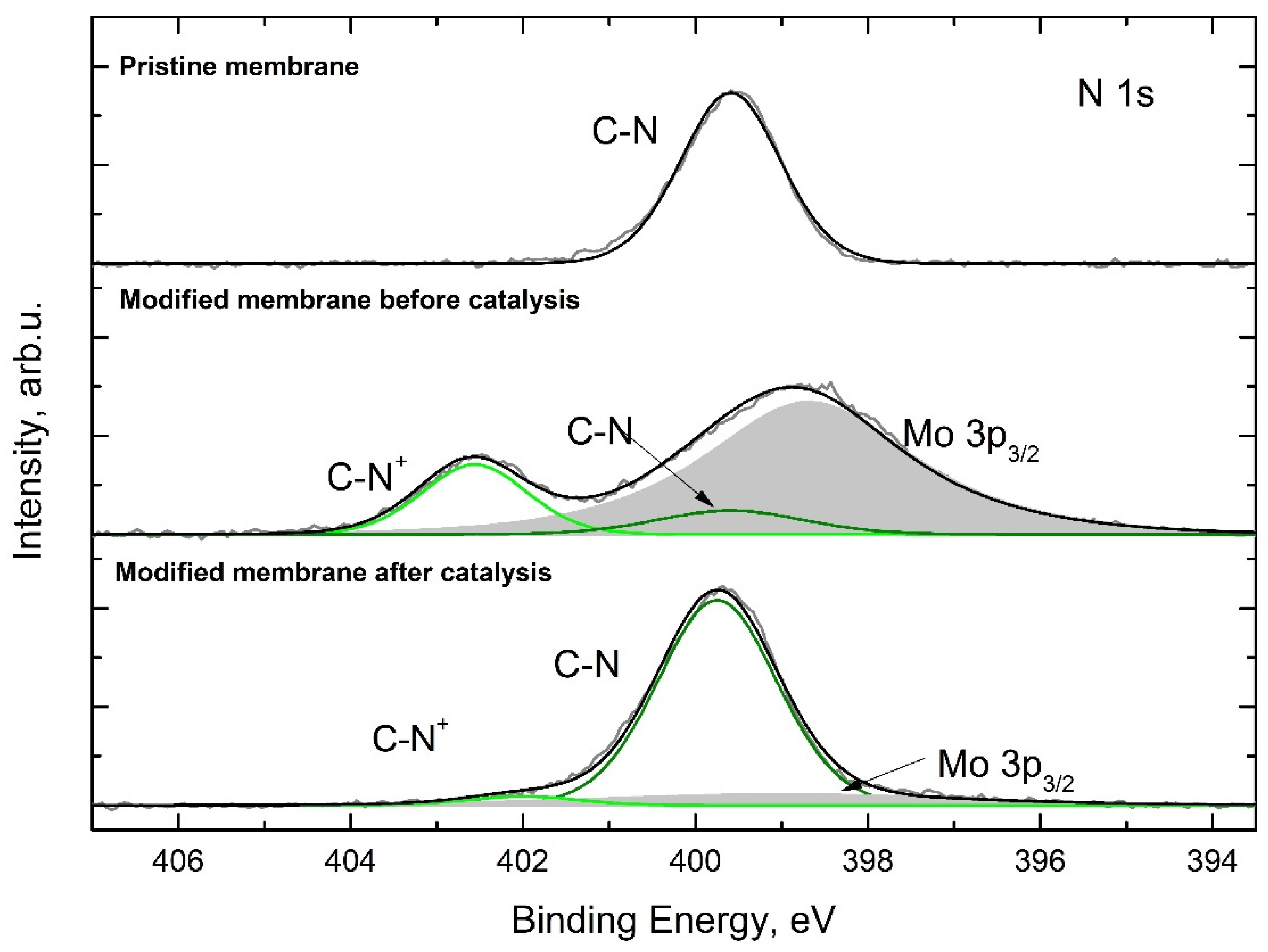 Nanomaterials 13 02498 g010
