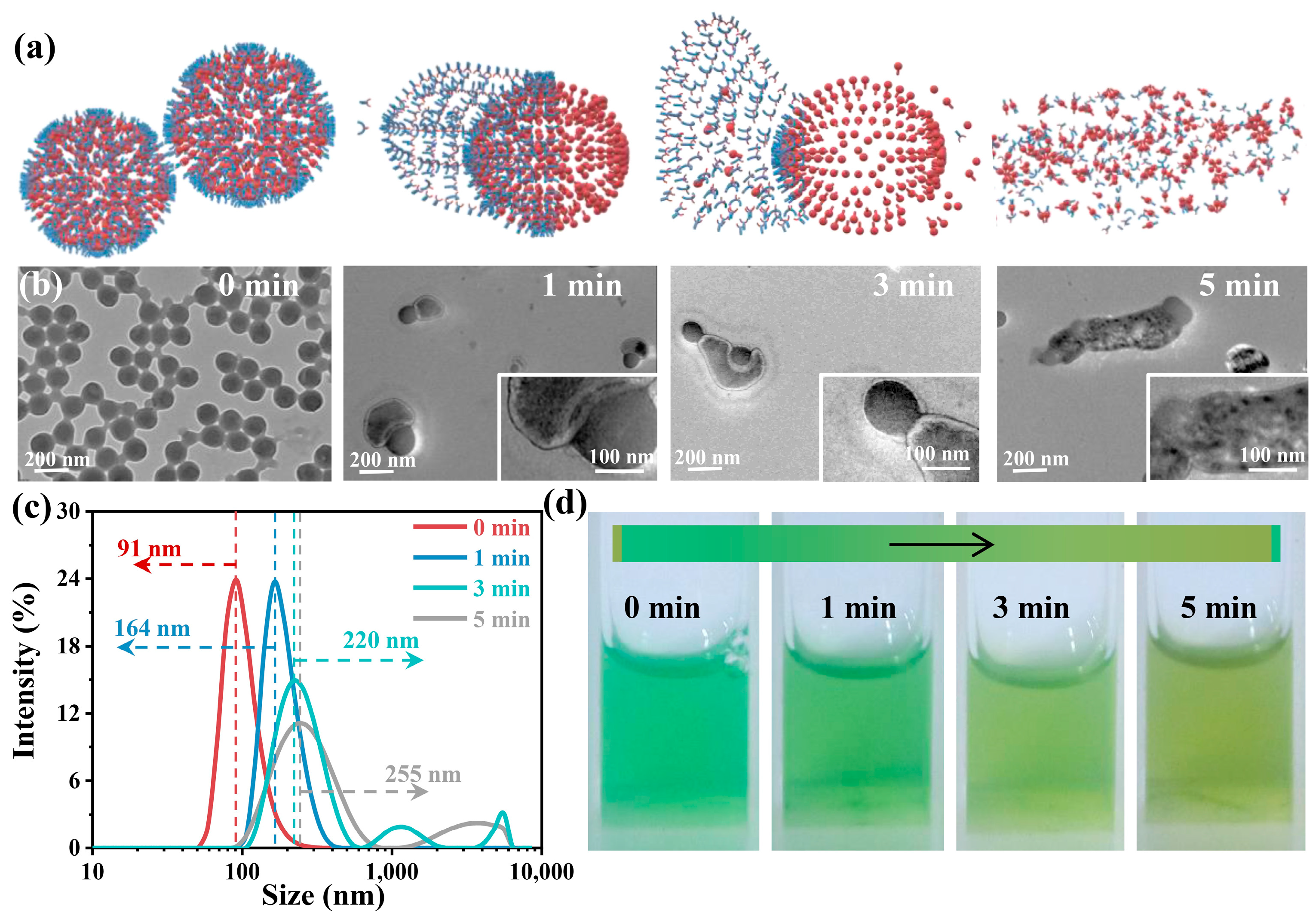 Nanomaterials 13 02499 g002 Nanomaterials 13 02499 g002