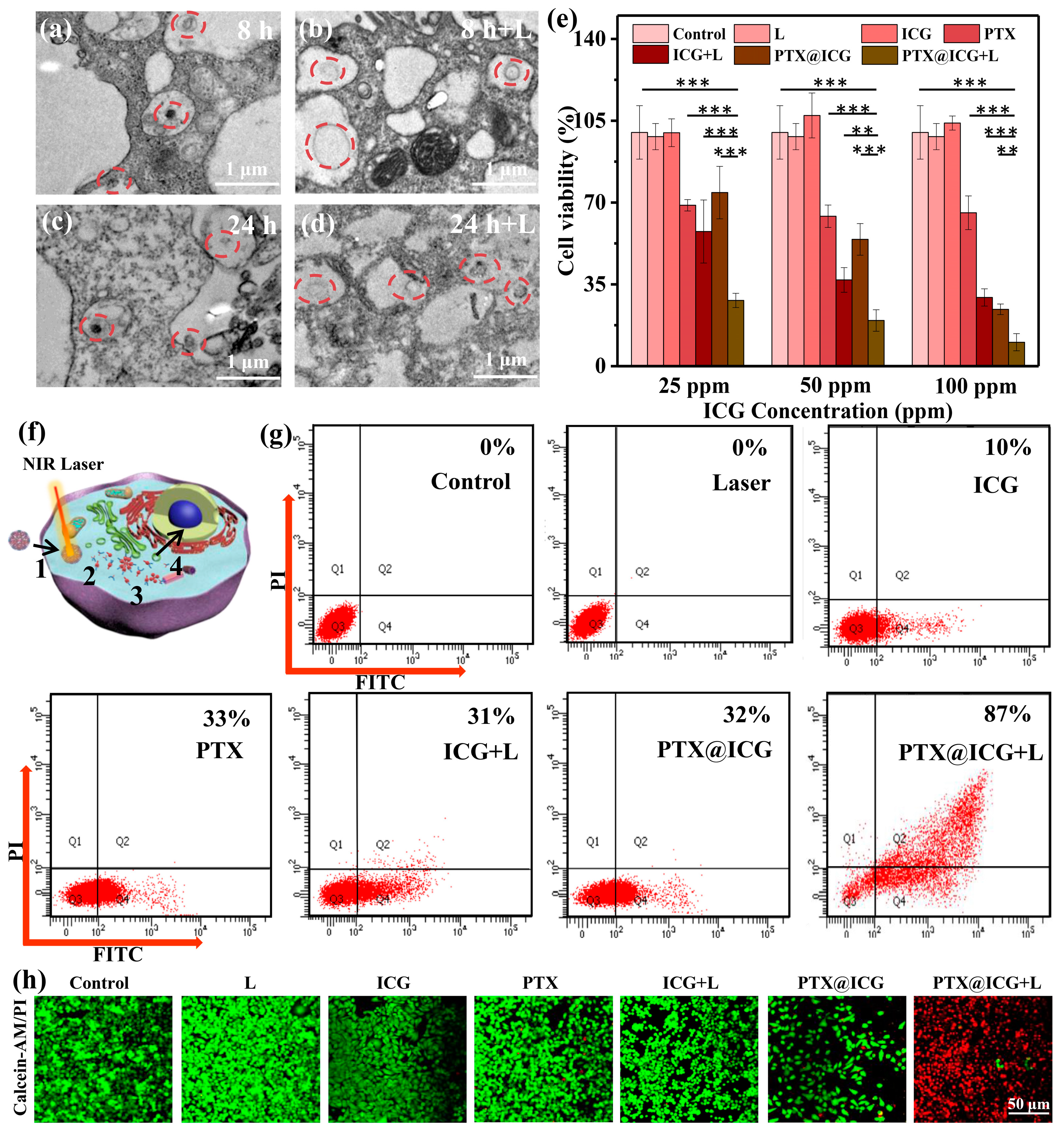 Nanomaterials 13 02499 g003 Nanomaterials 13 02499 g003